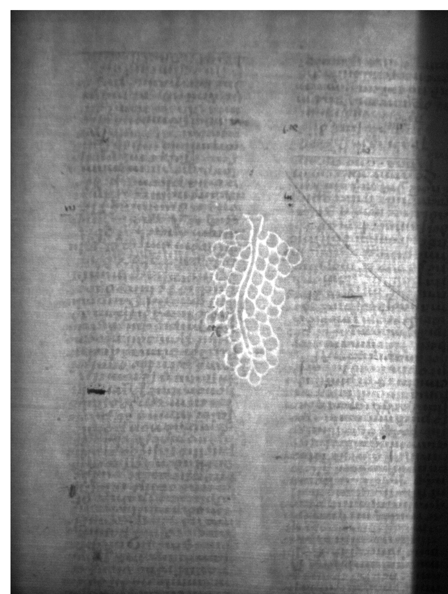 Watermark