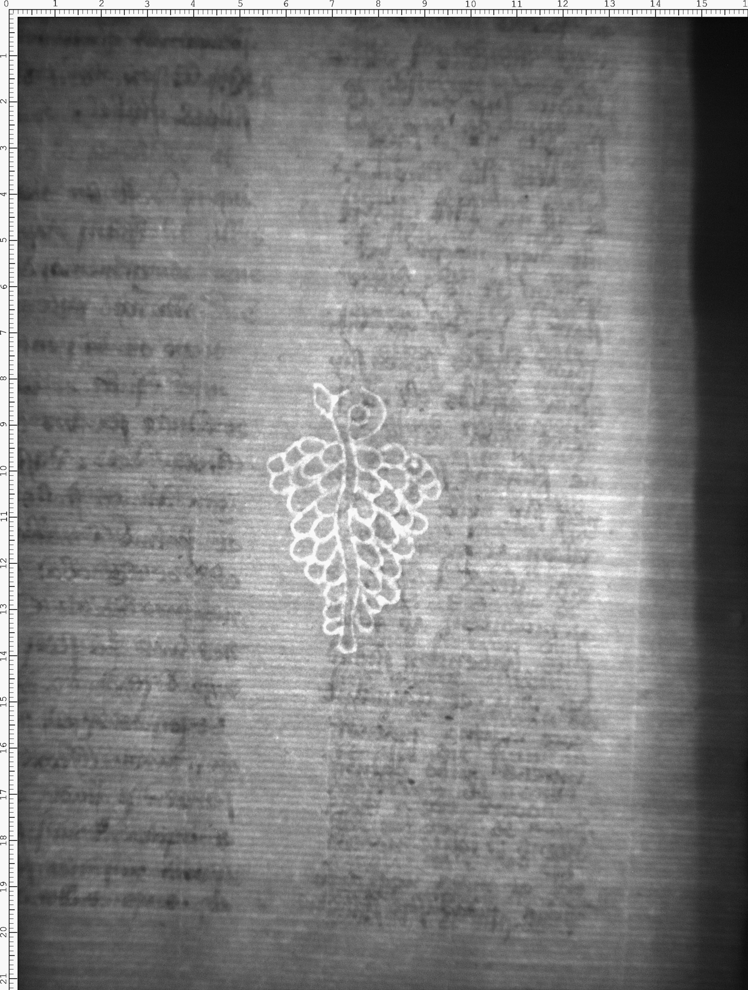 Watermark
