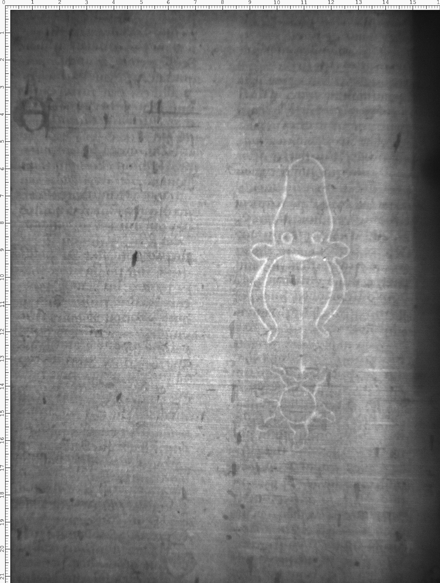 Watermark