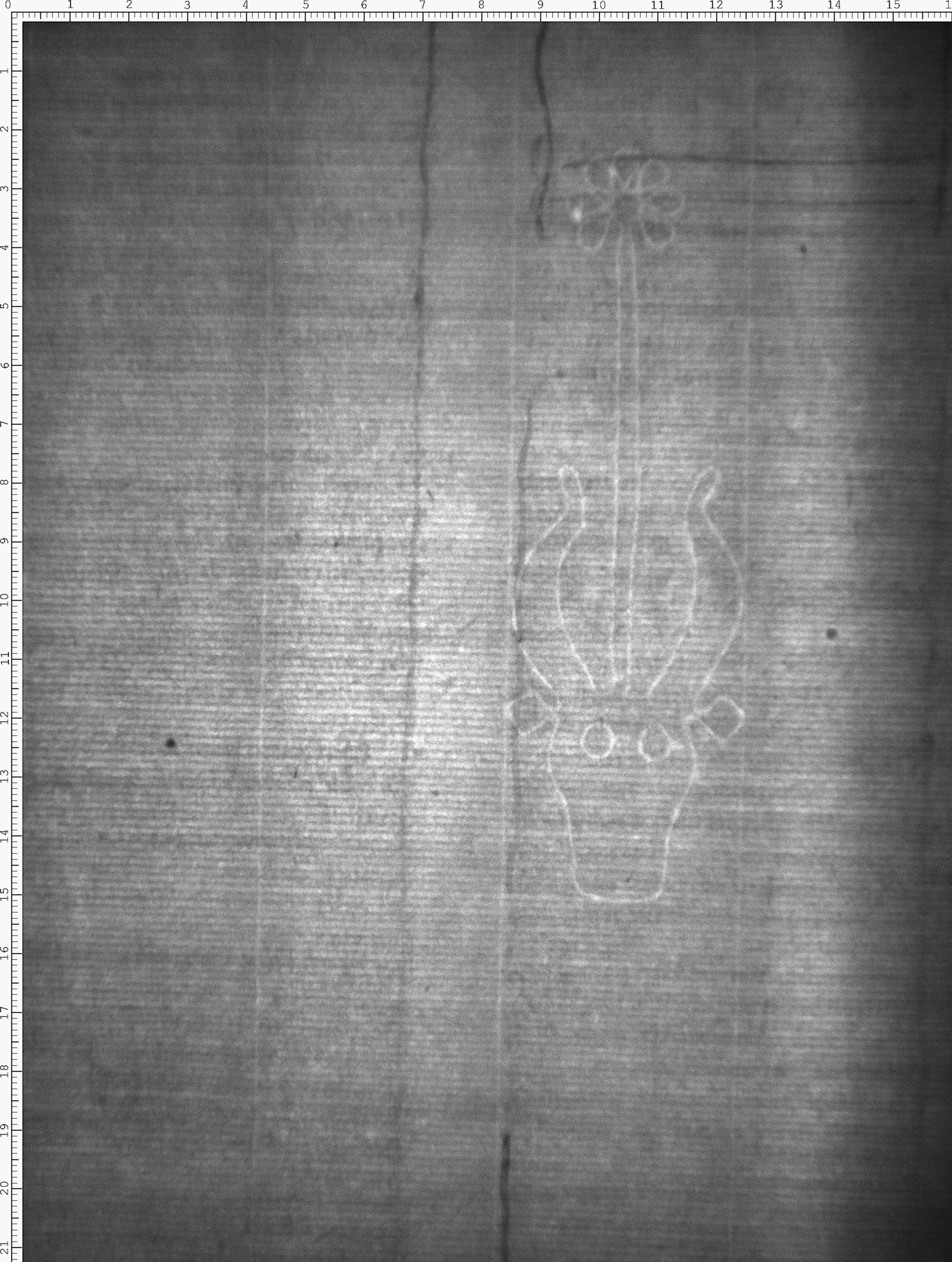 Watermark