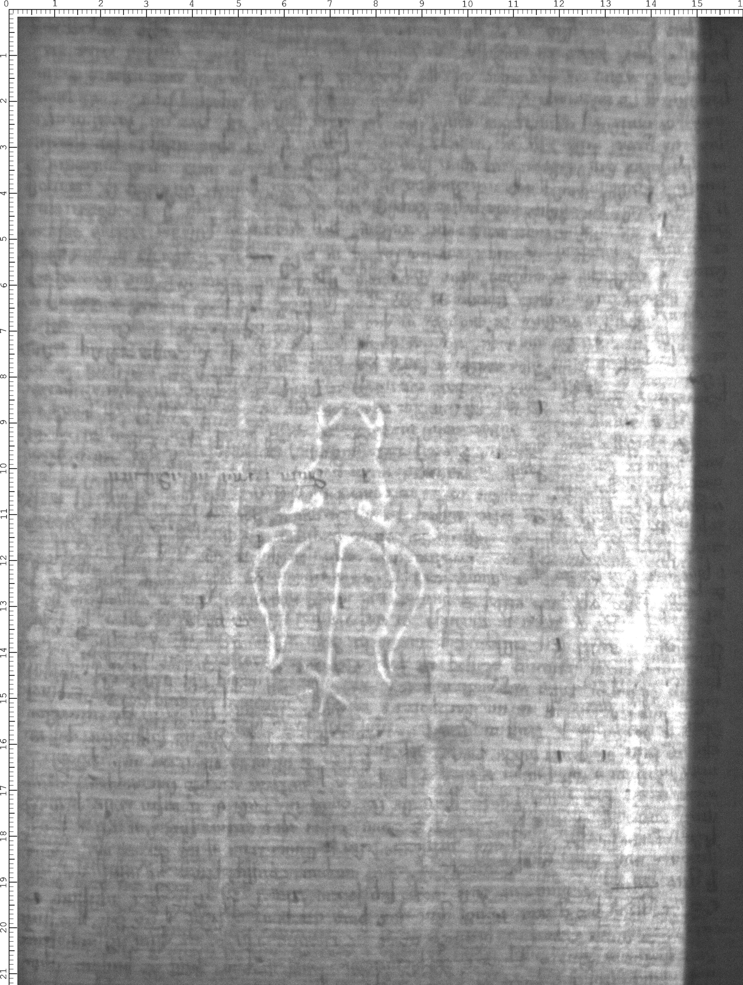 Watermark