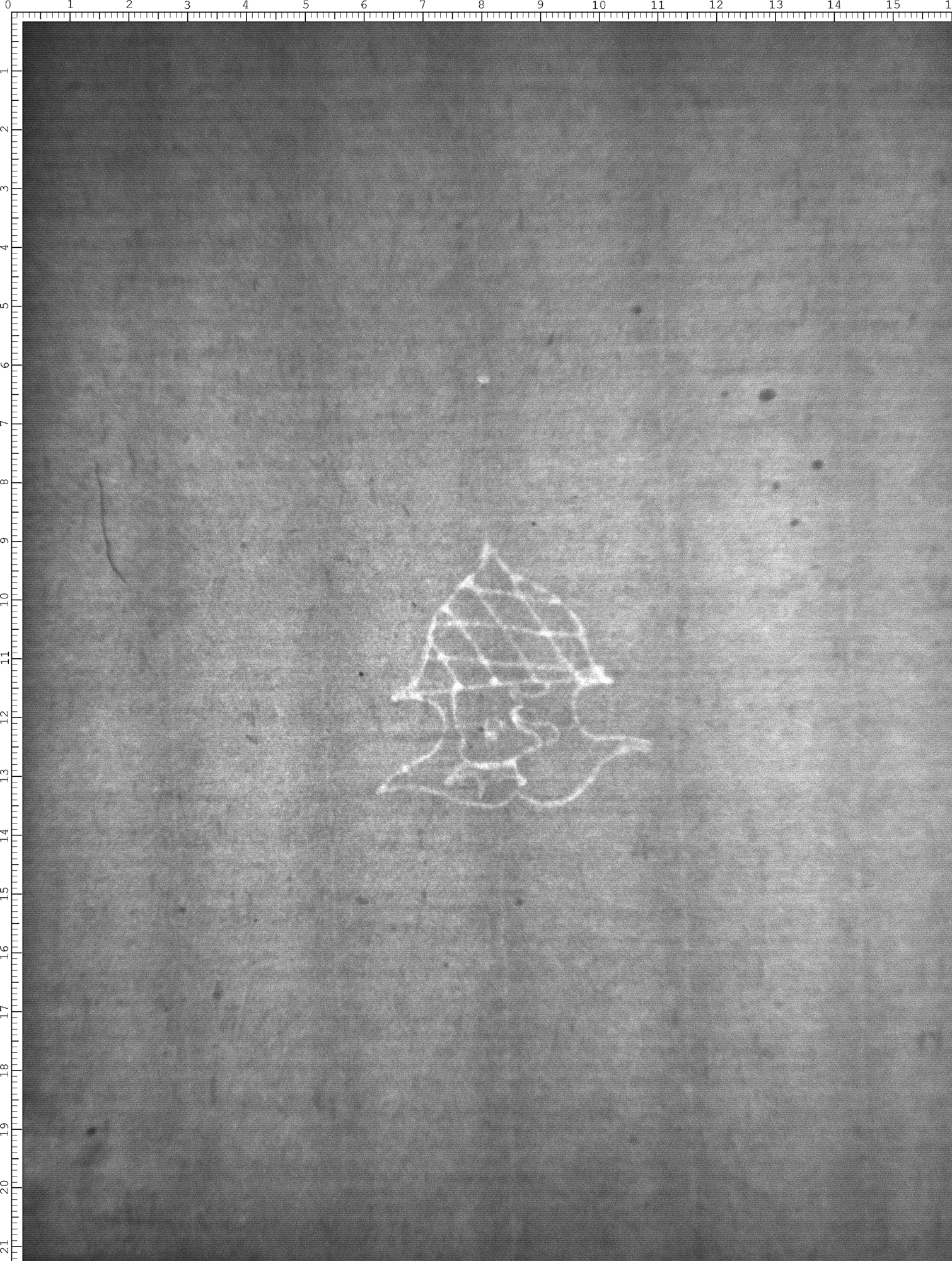 Watermark