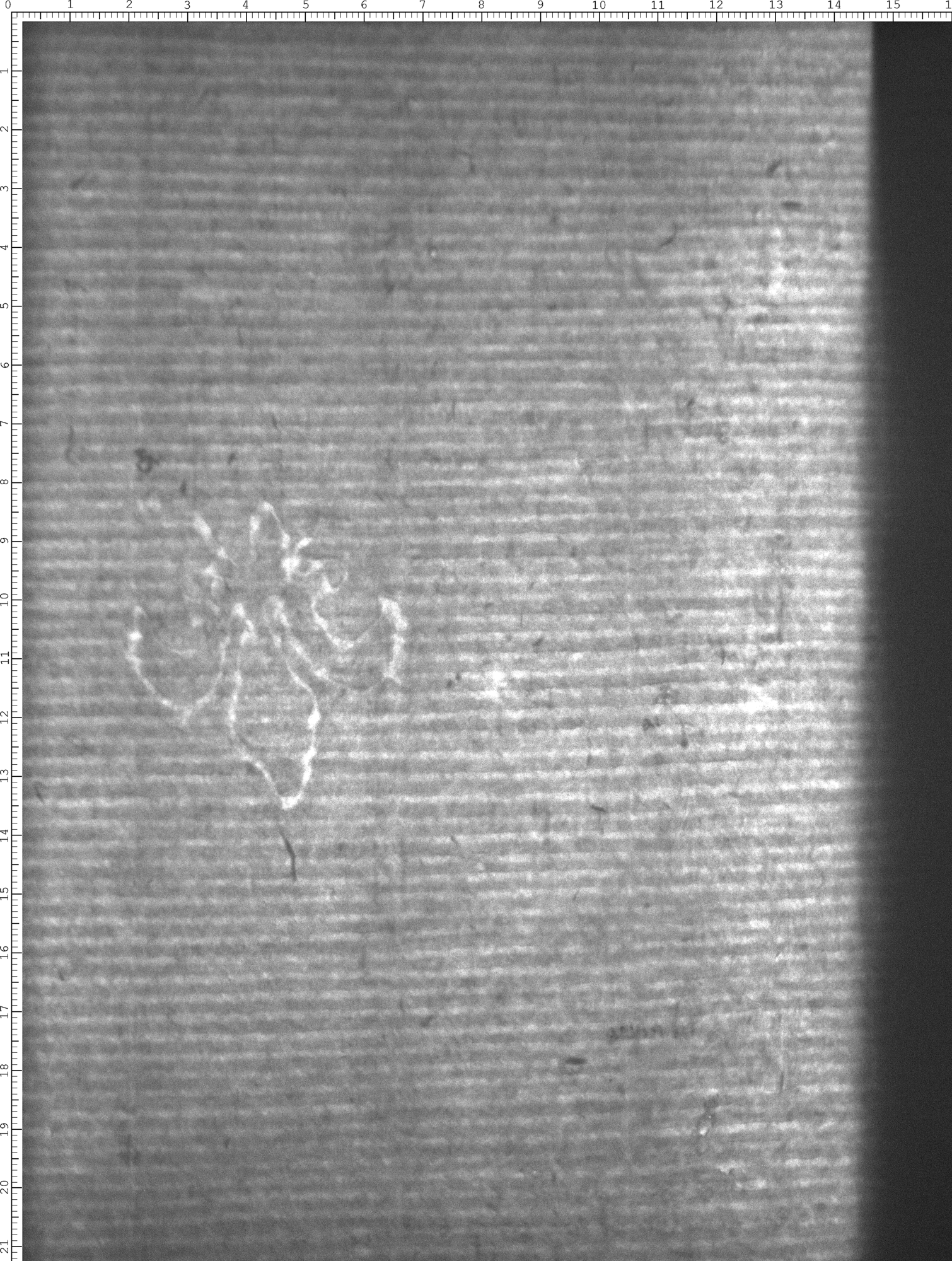 Watermark