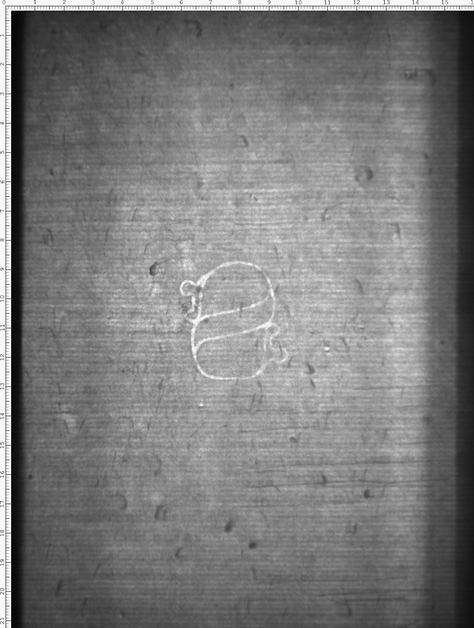 Watermark