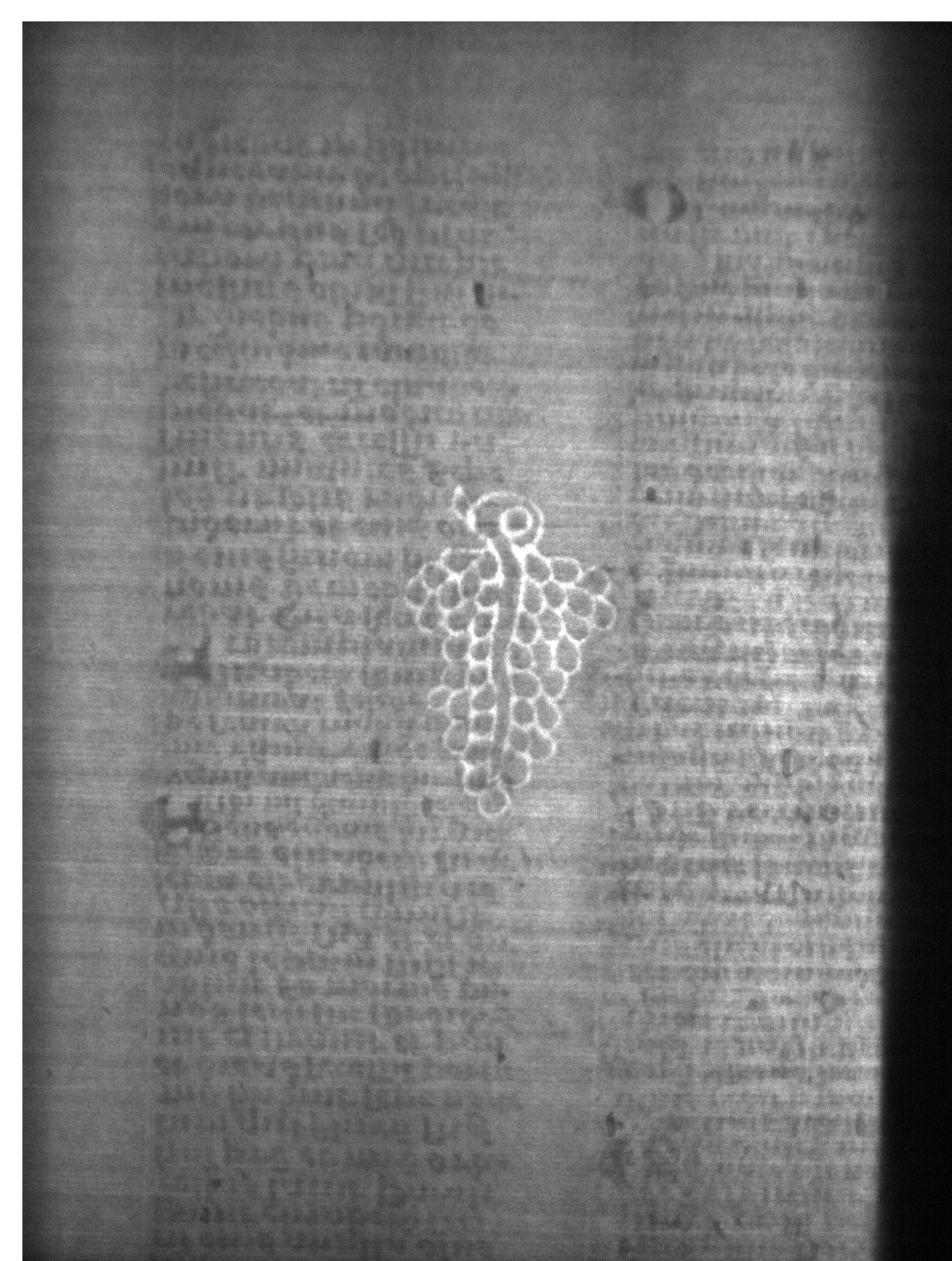 Watermark