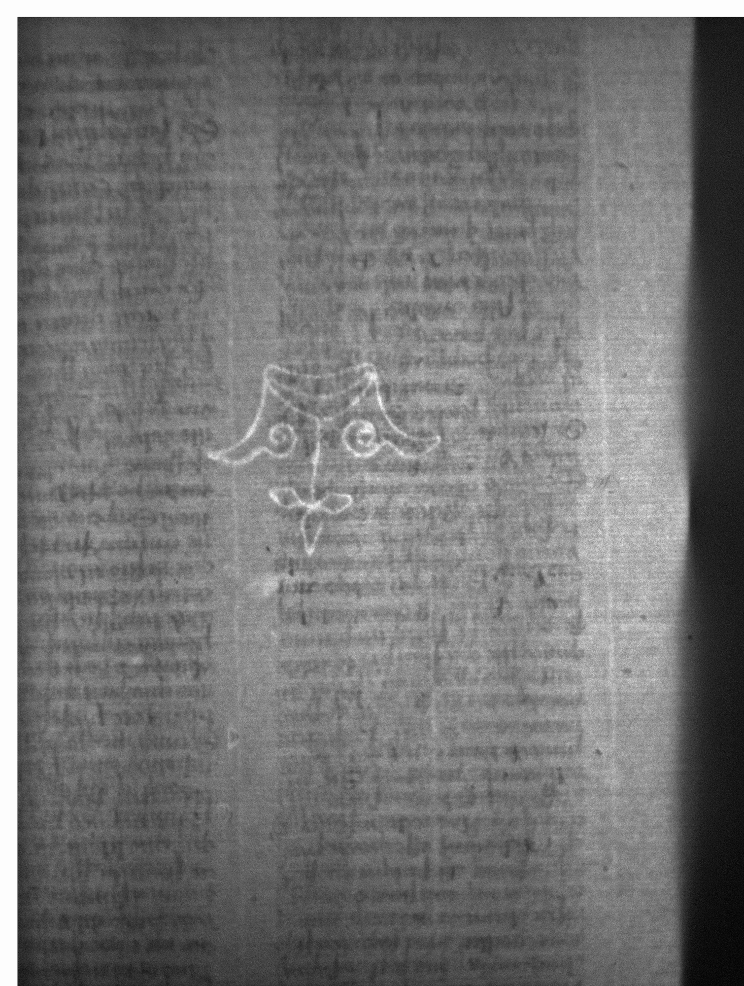 Watermark