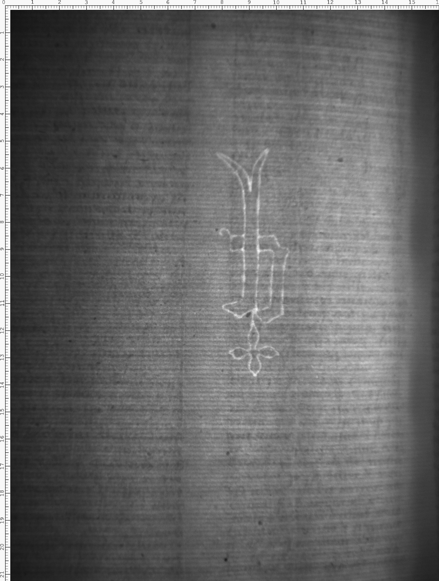 Watermark