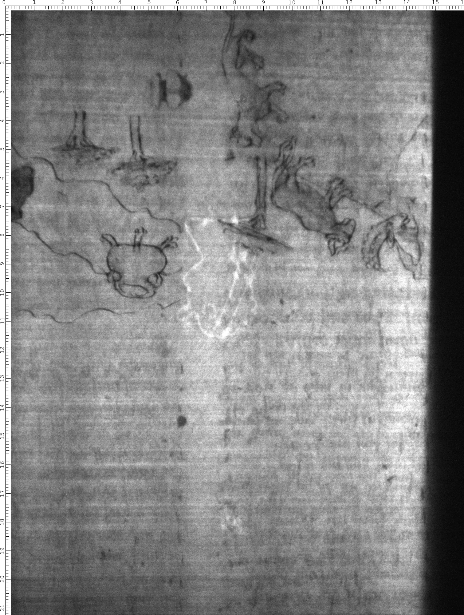 Watermark