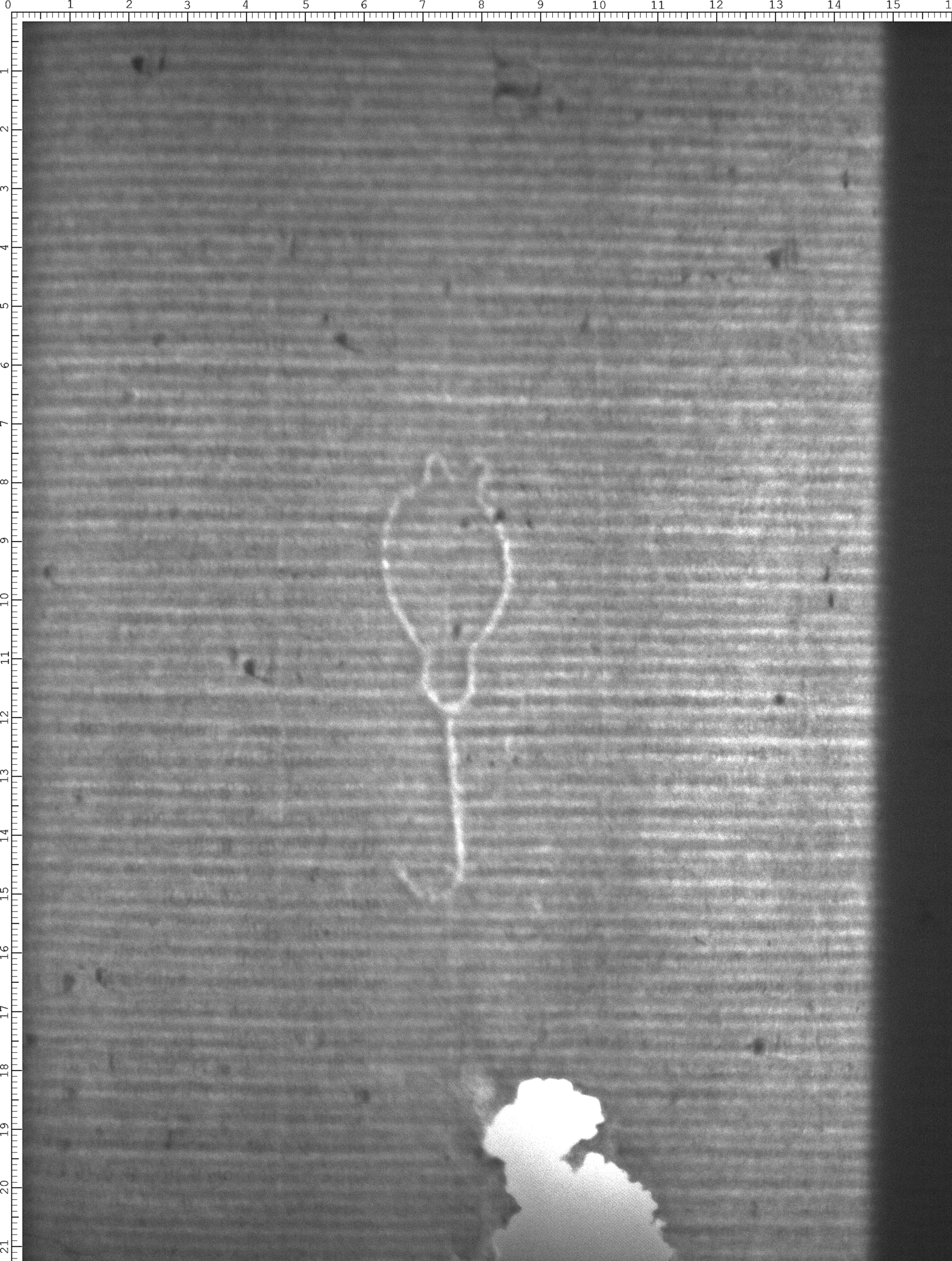 Watermark