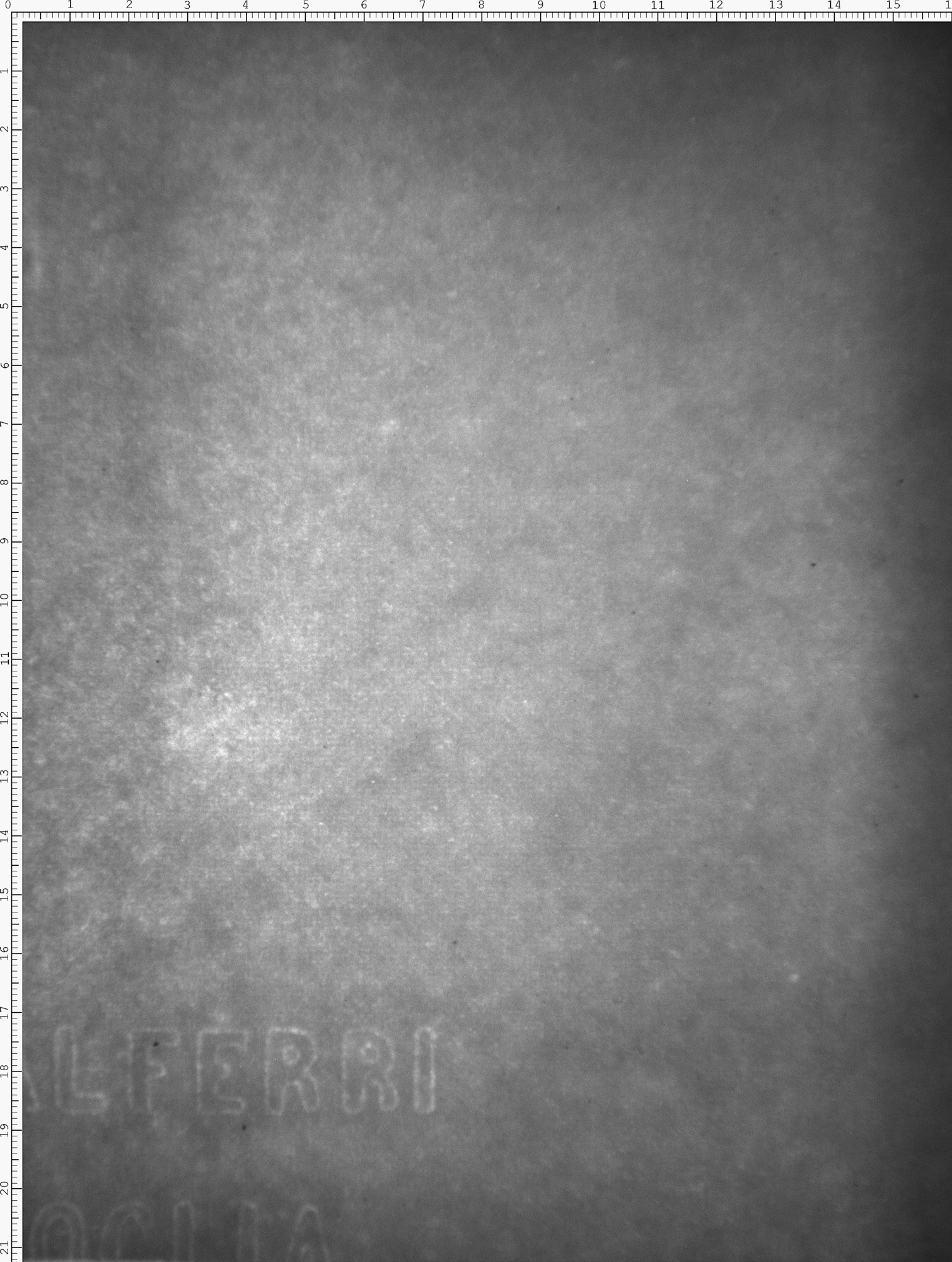 Watermark