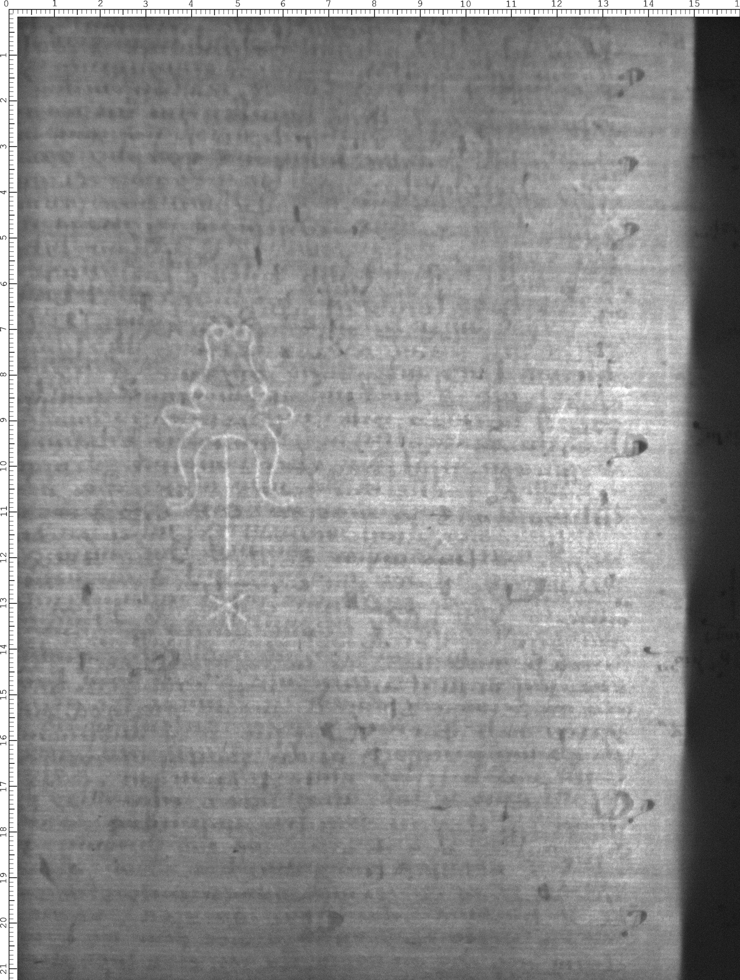Watermark