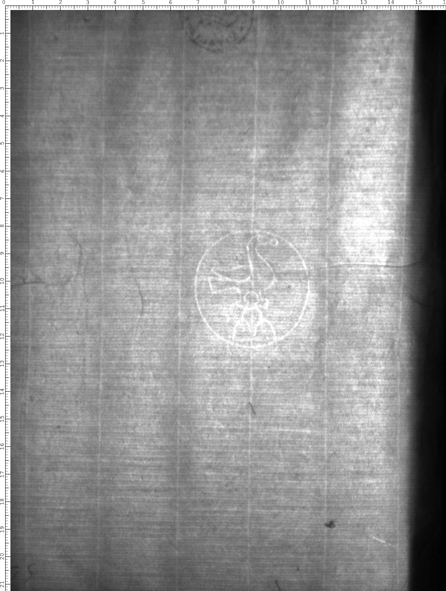 Watermark