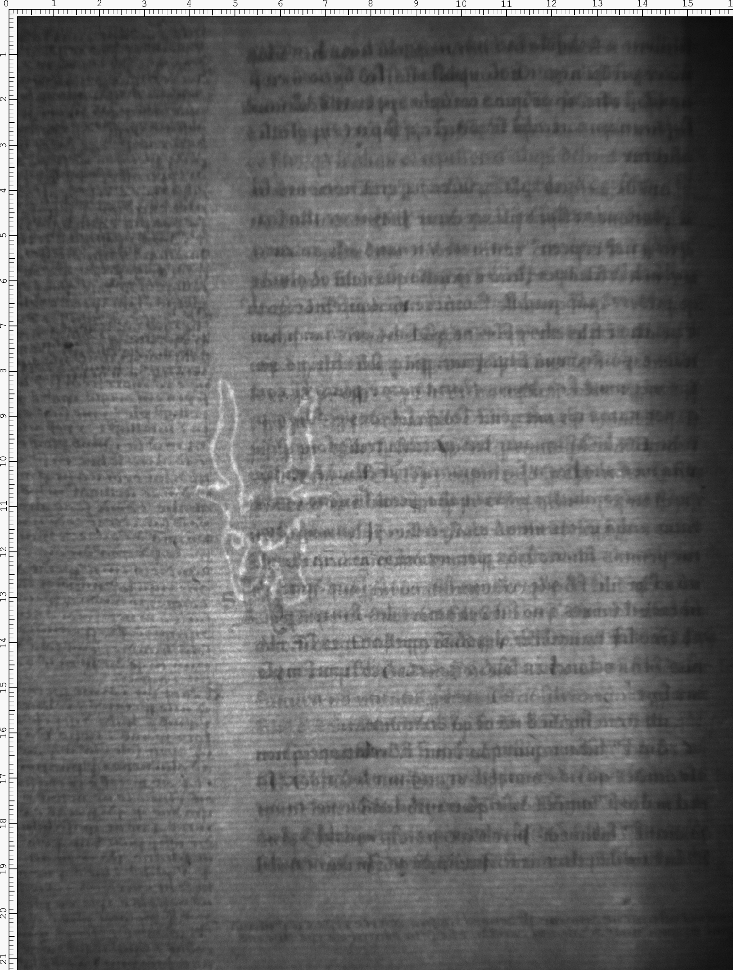 Watermark