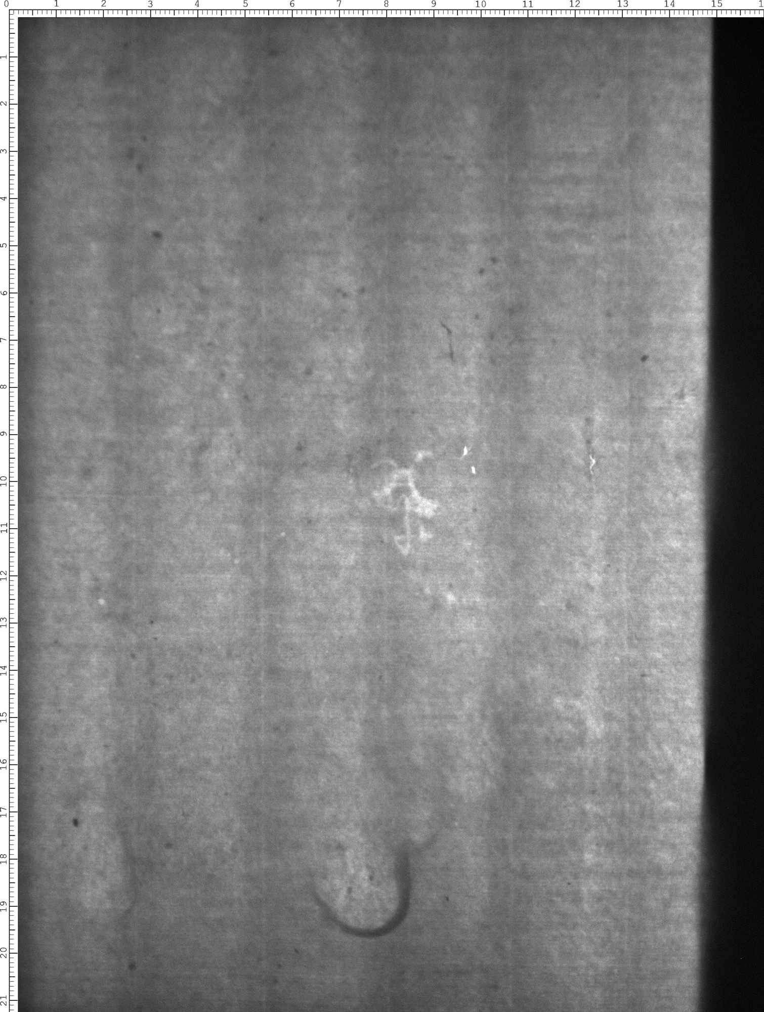 Watermark