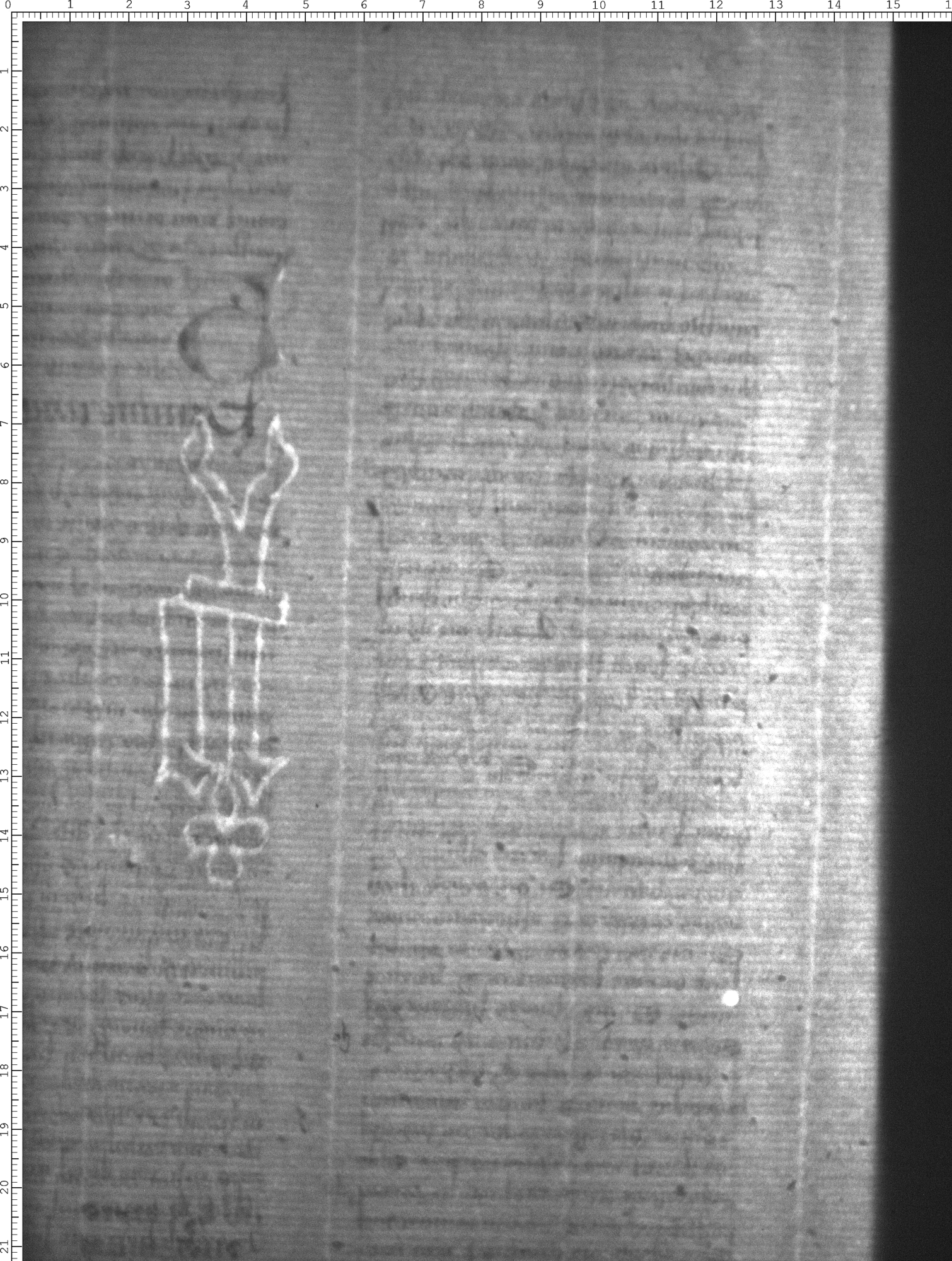 Watermark