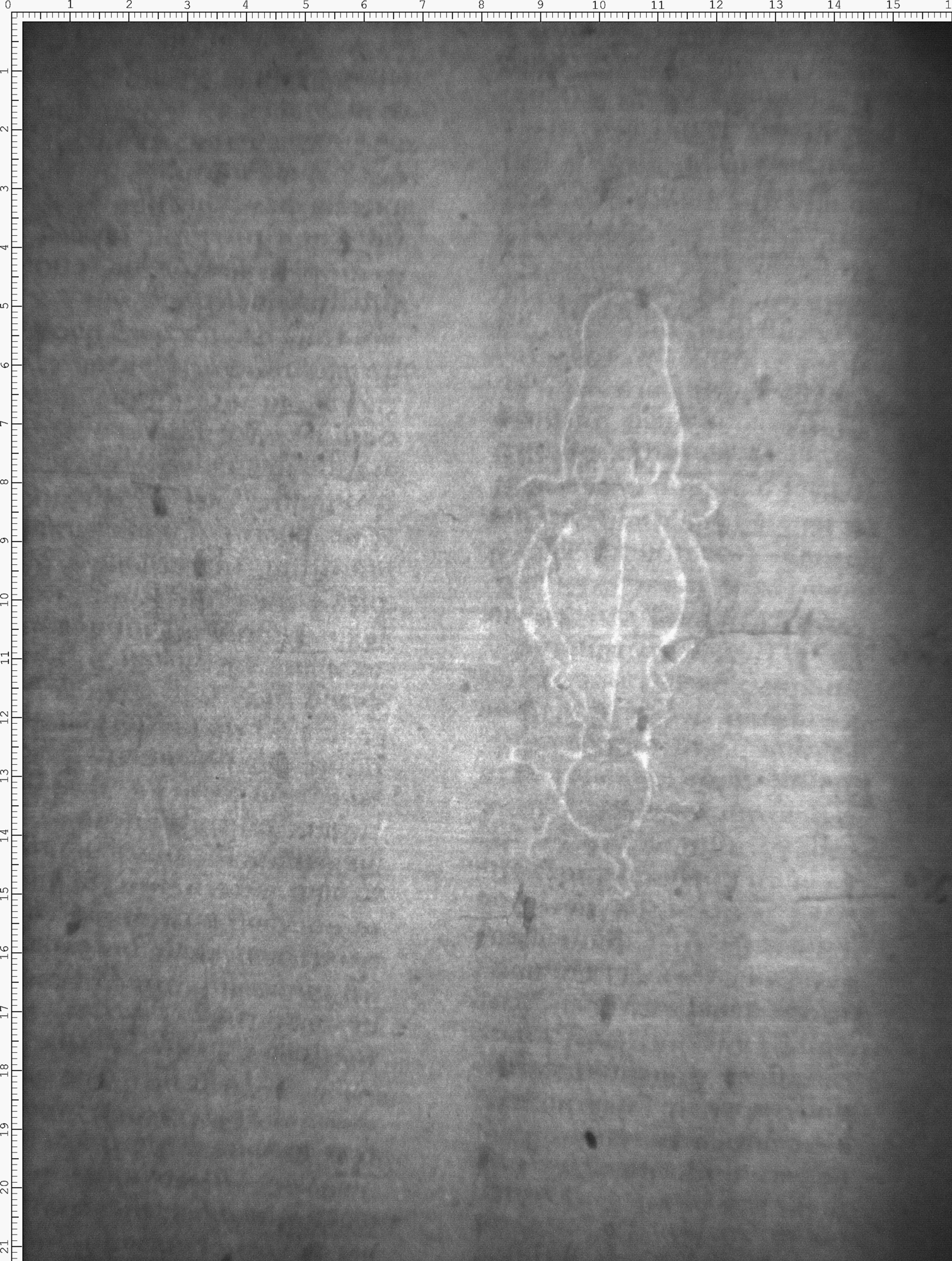 Watermark