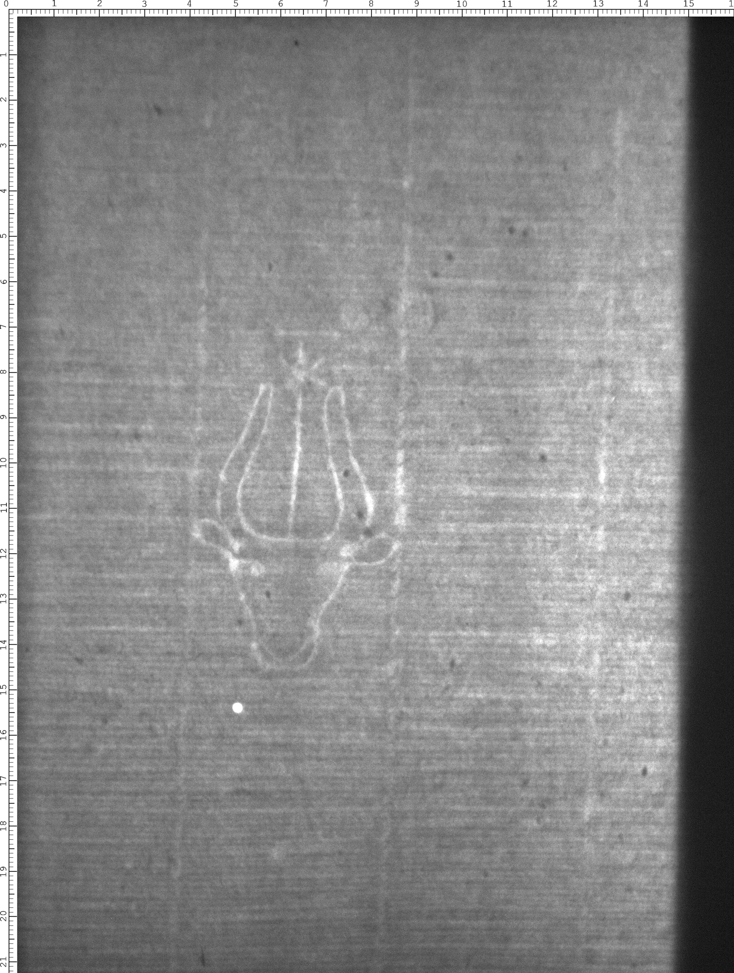 Watermark