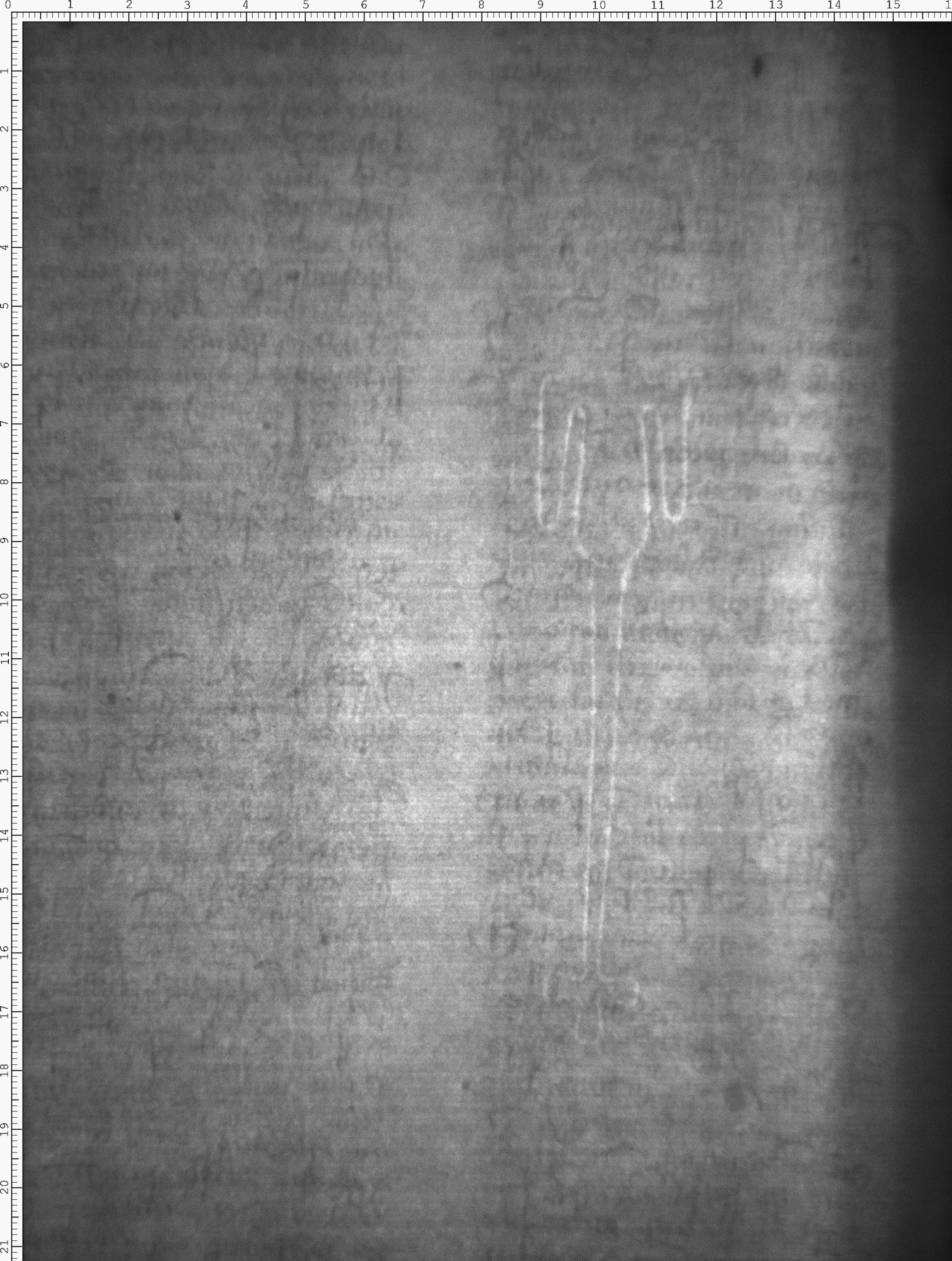 Watermark