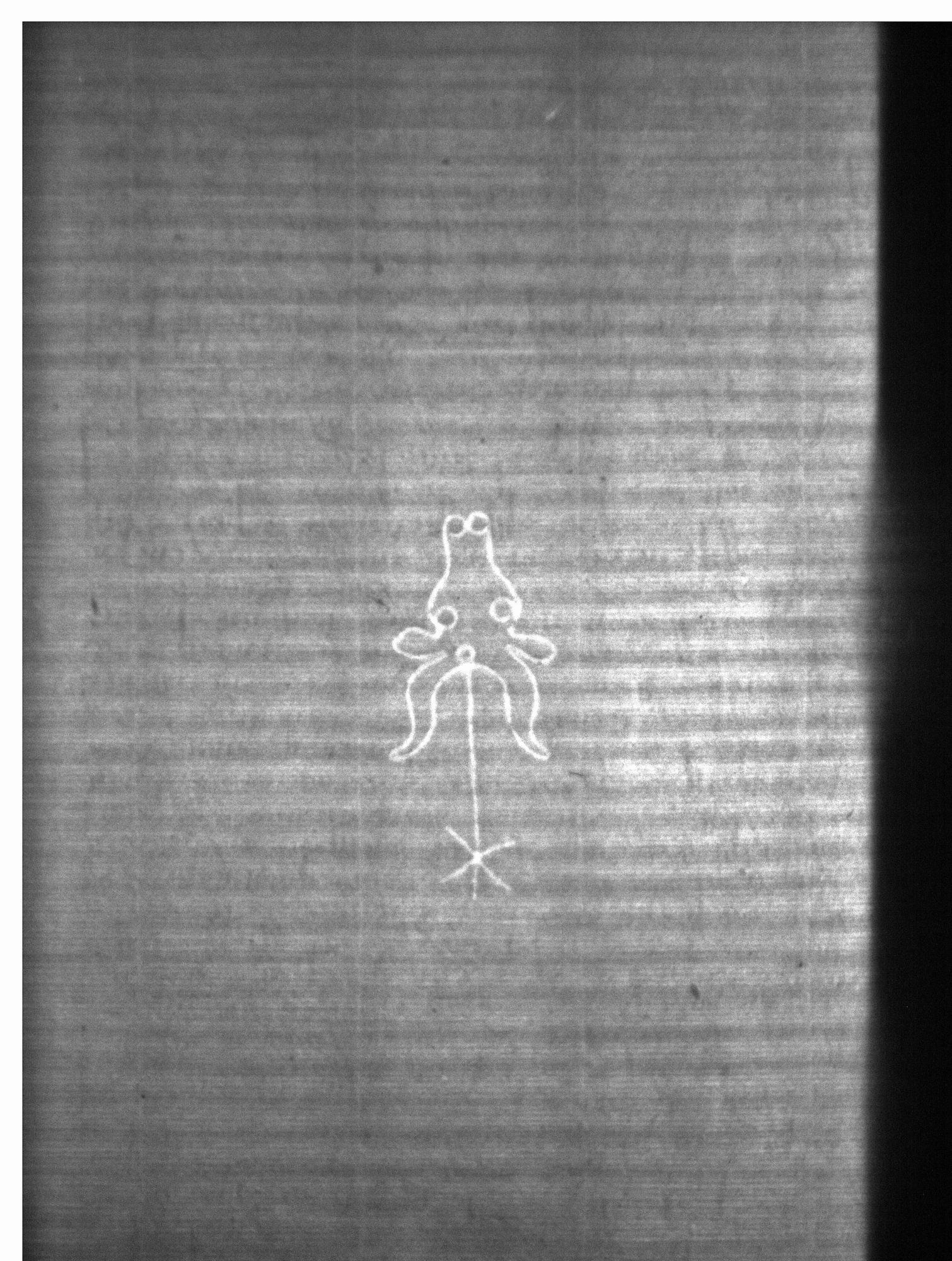 Watermark