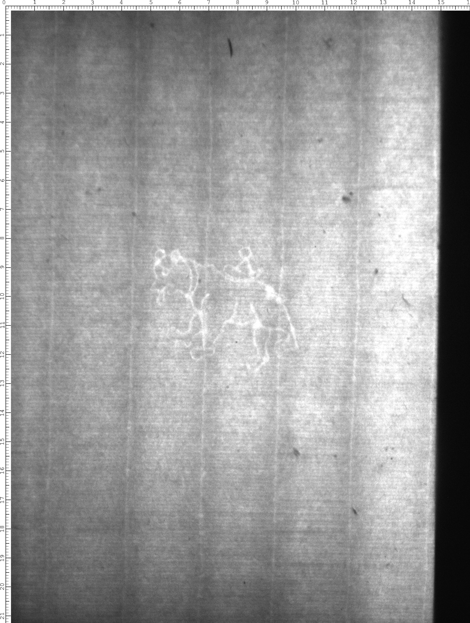 Watermark