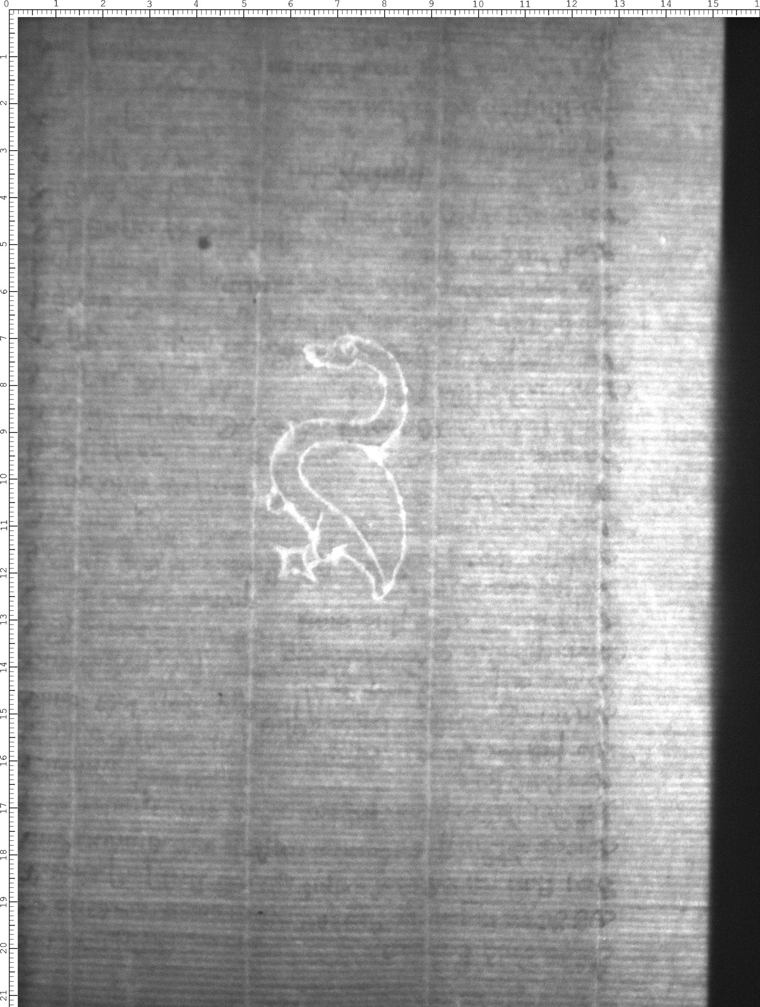 Watermark