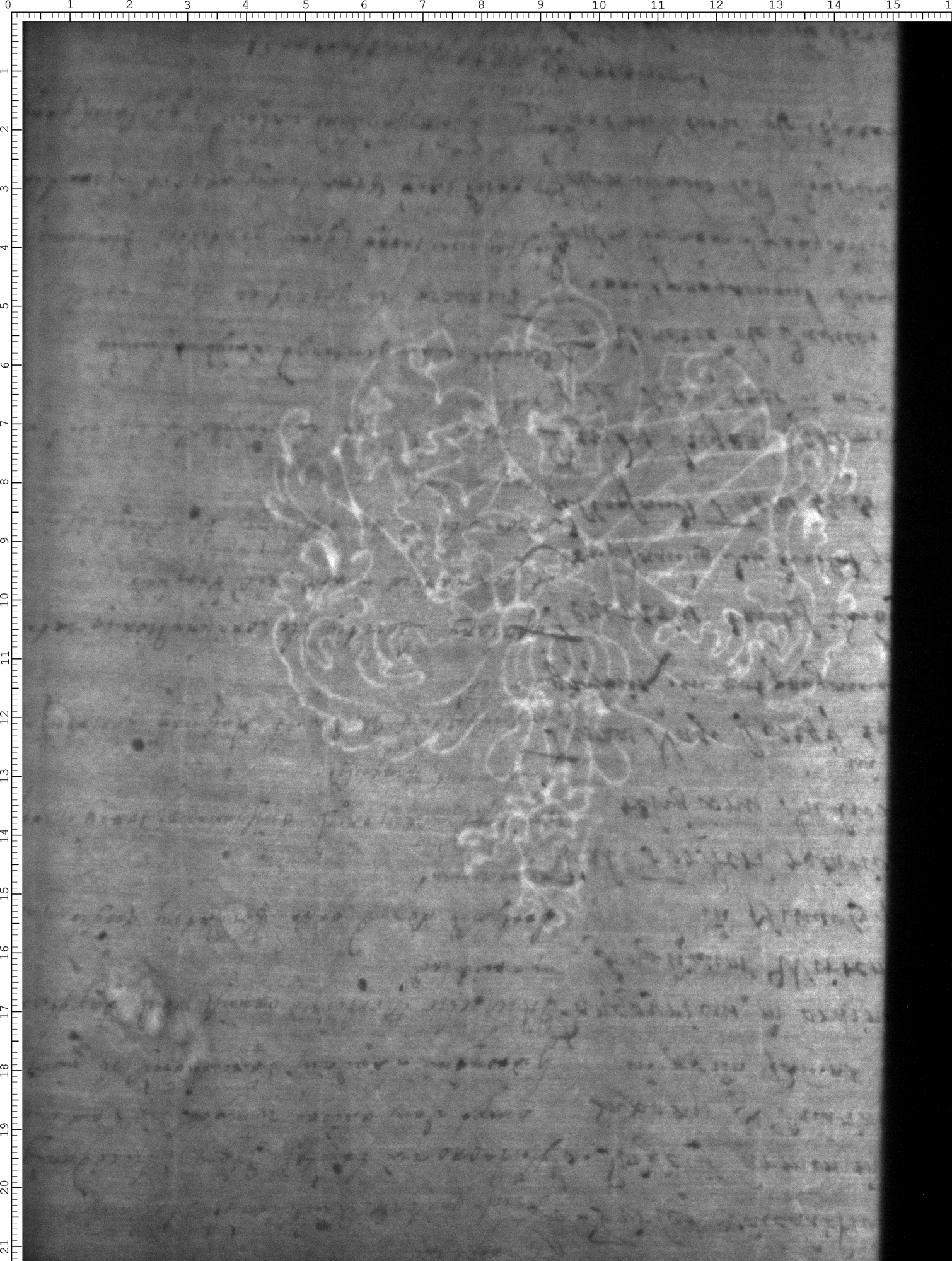 Watermark
