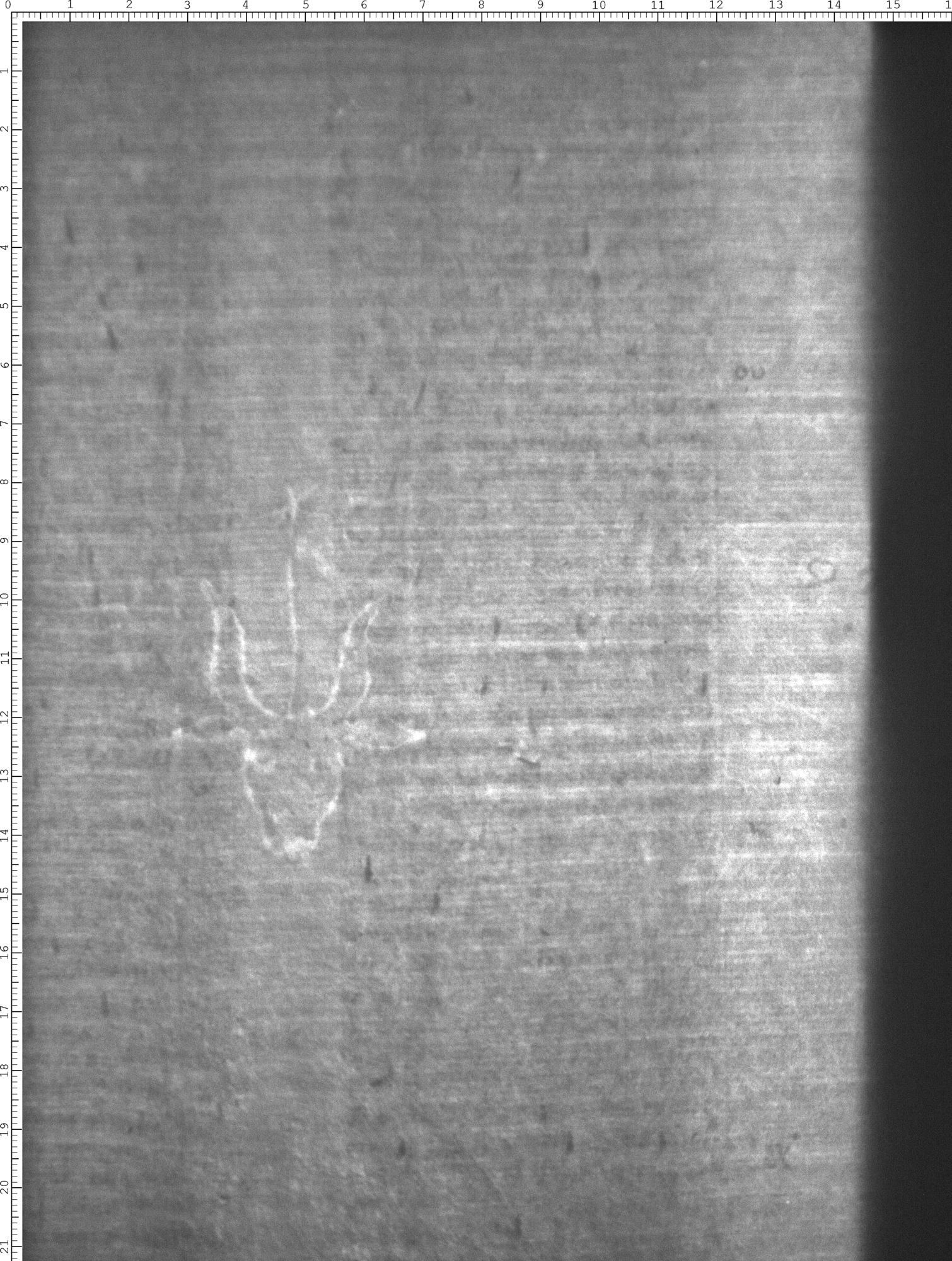 Watermark