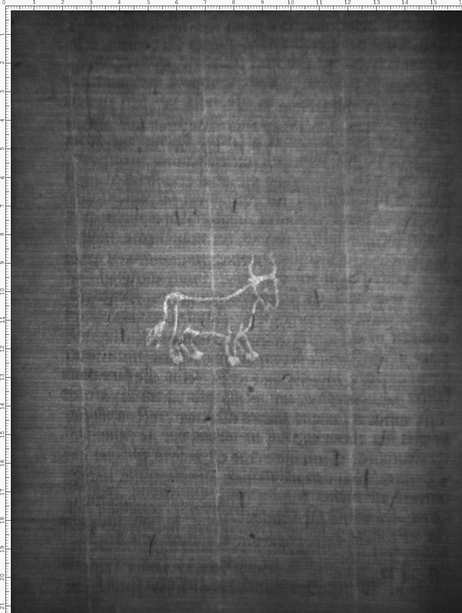 Watermark