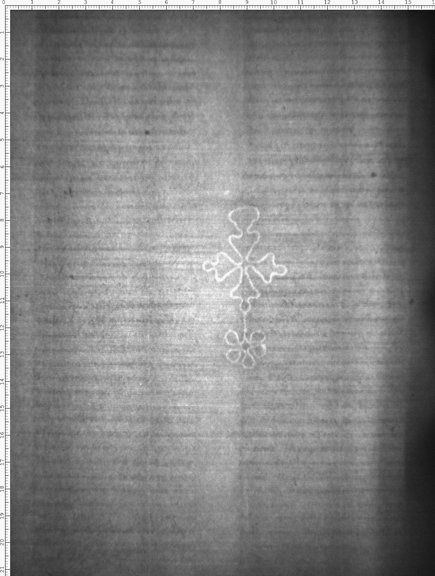 Watermark