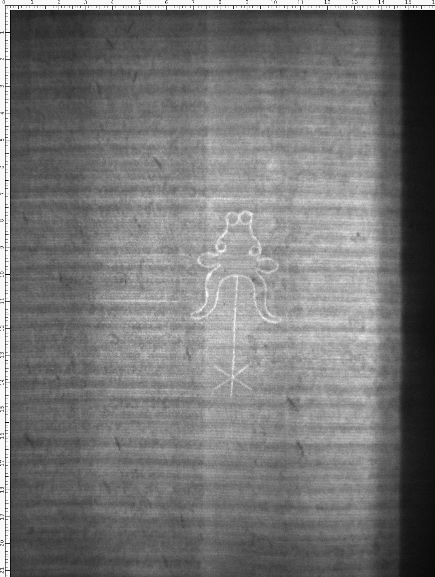 Watermark