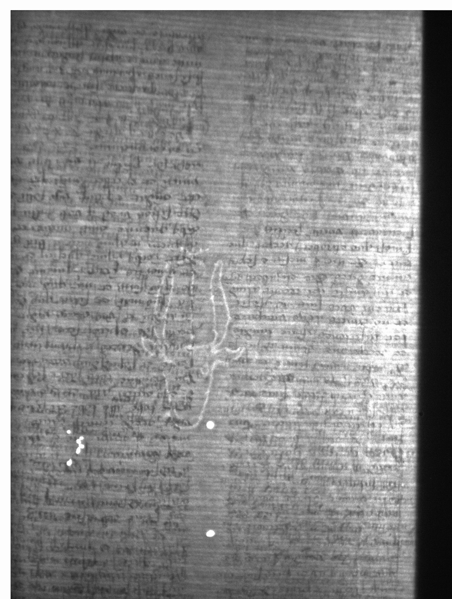 Watermark