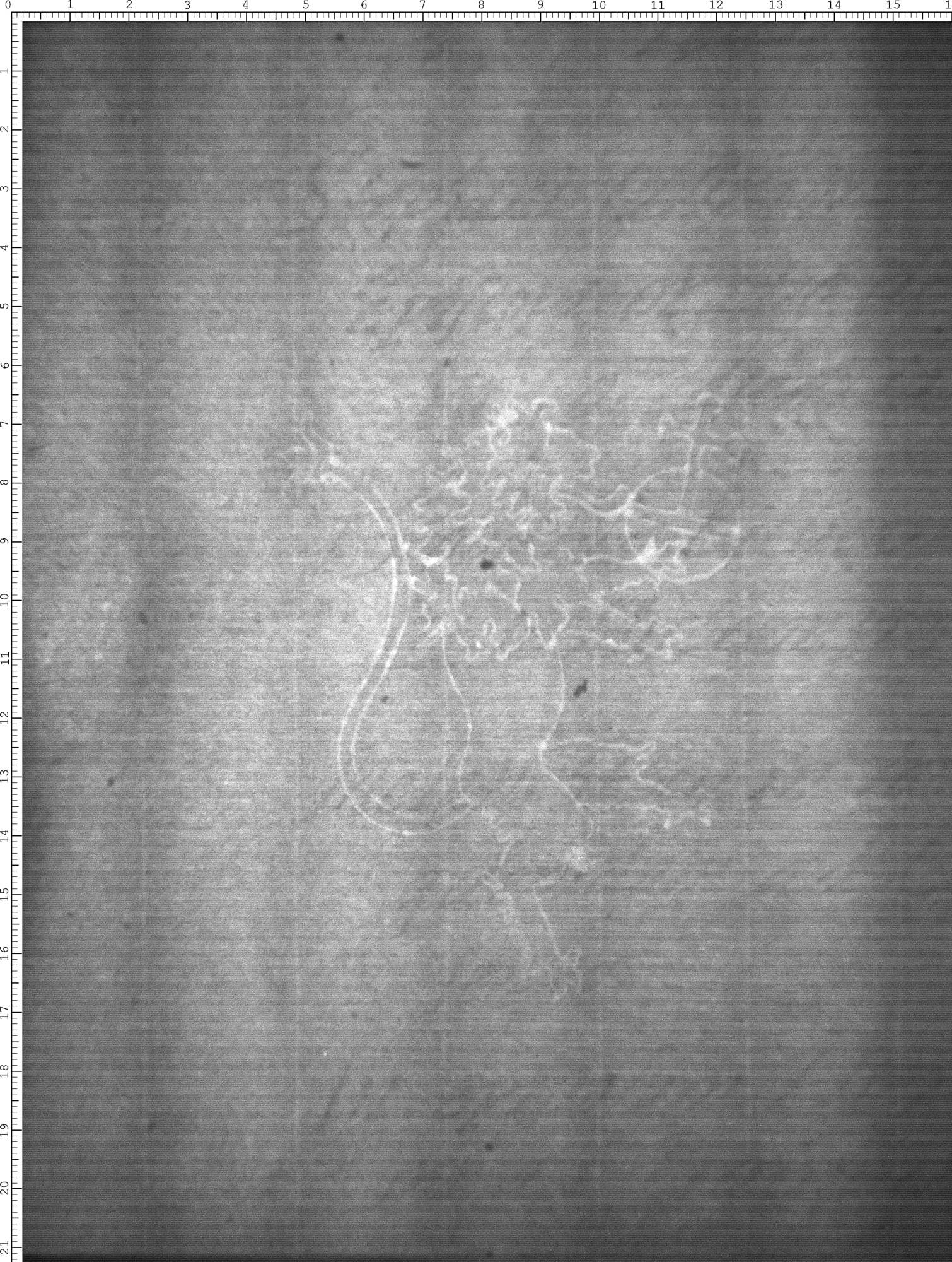 Watermark