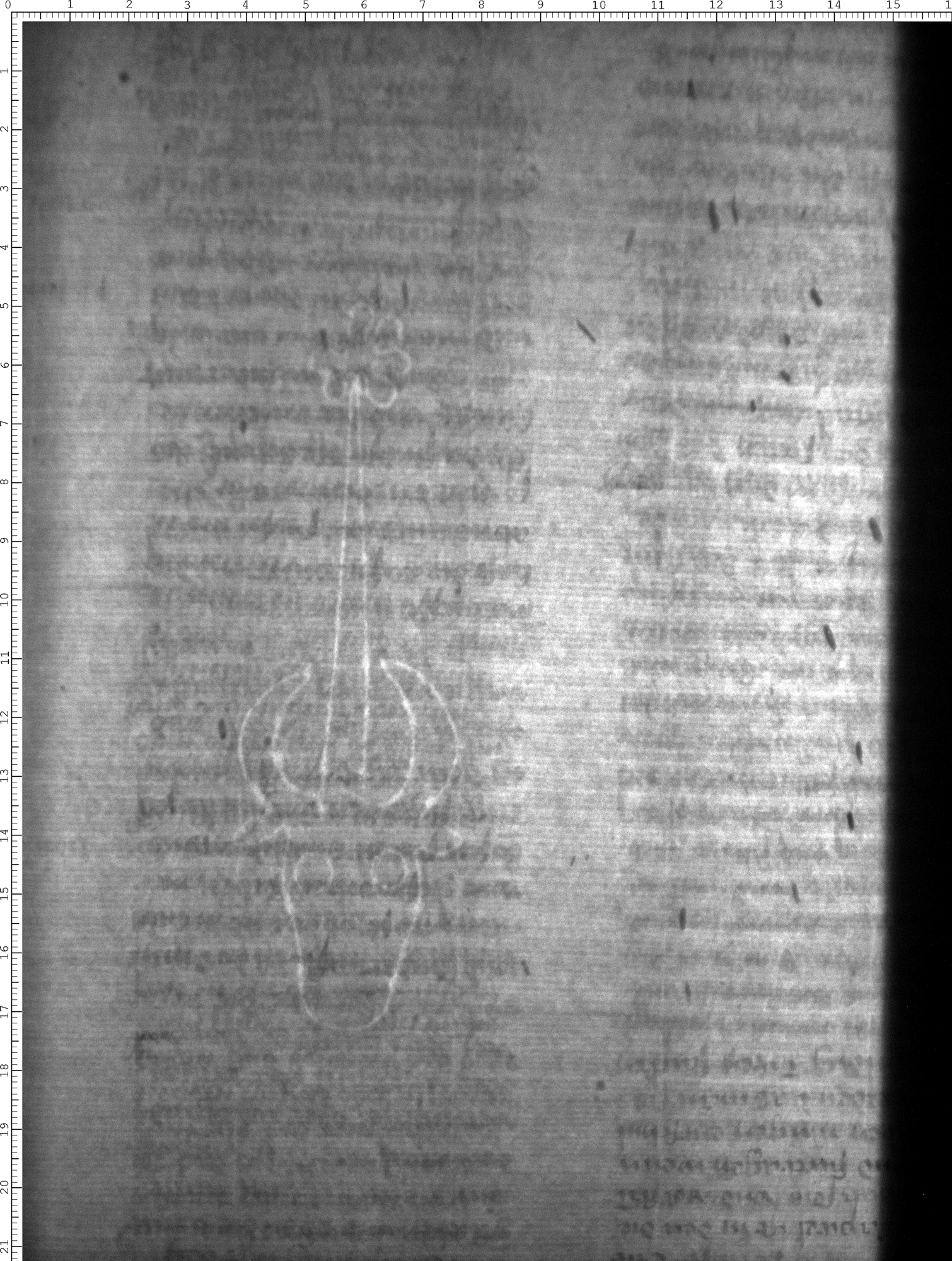 Watermark