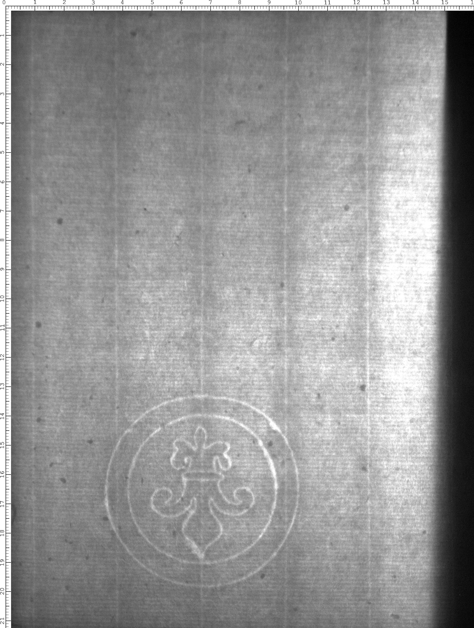 Watermark