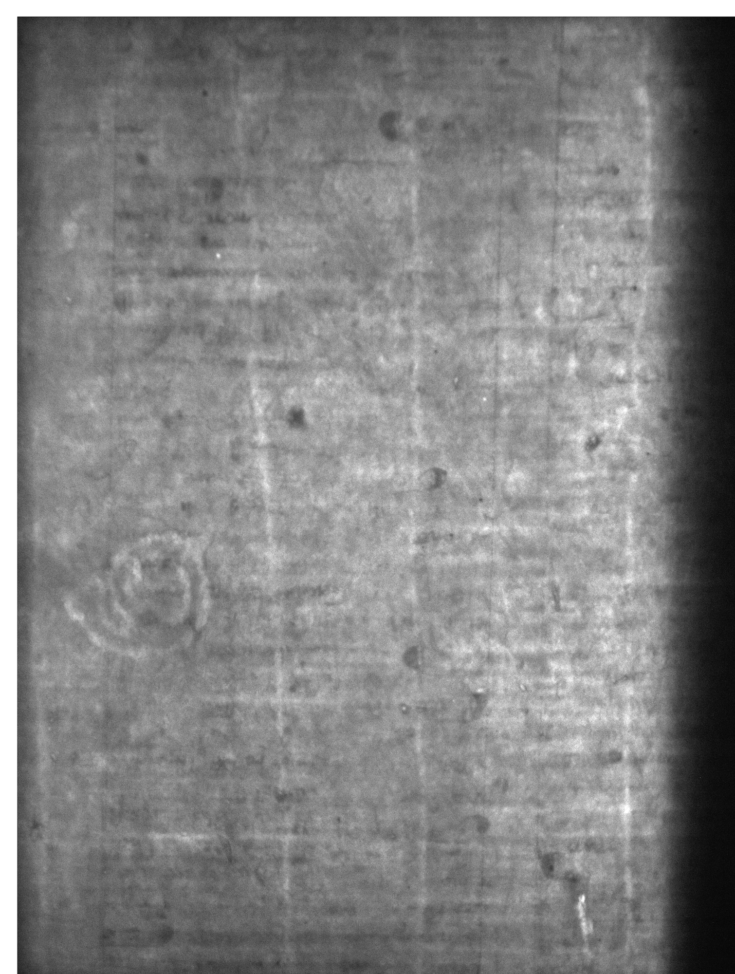 Watermark