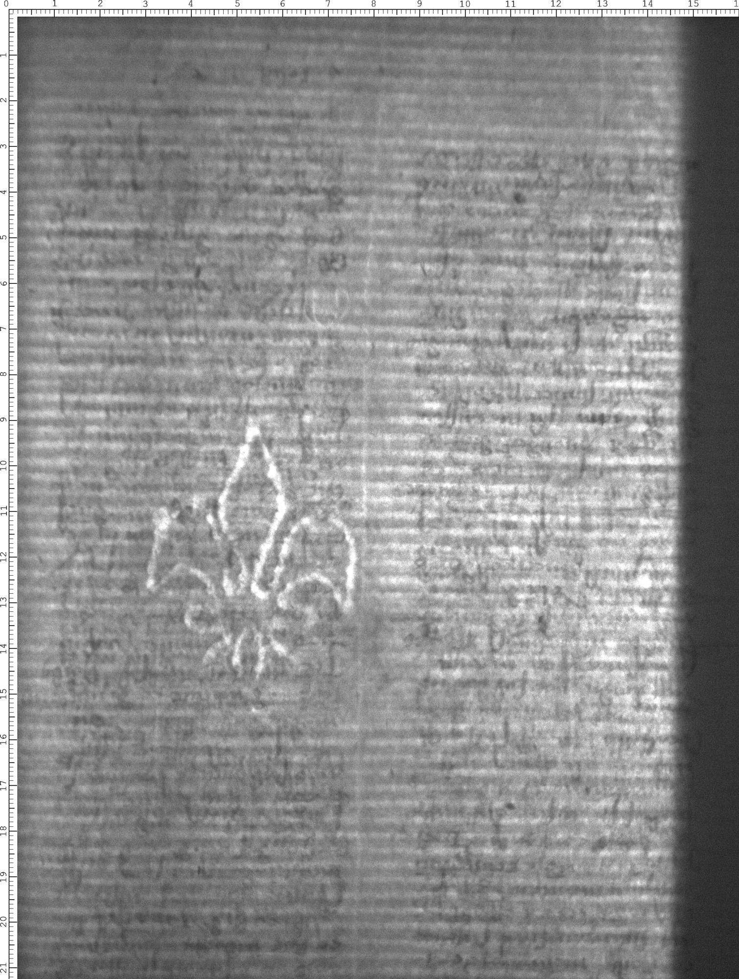 Watermark