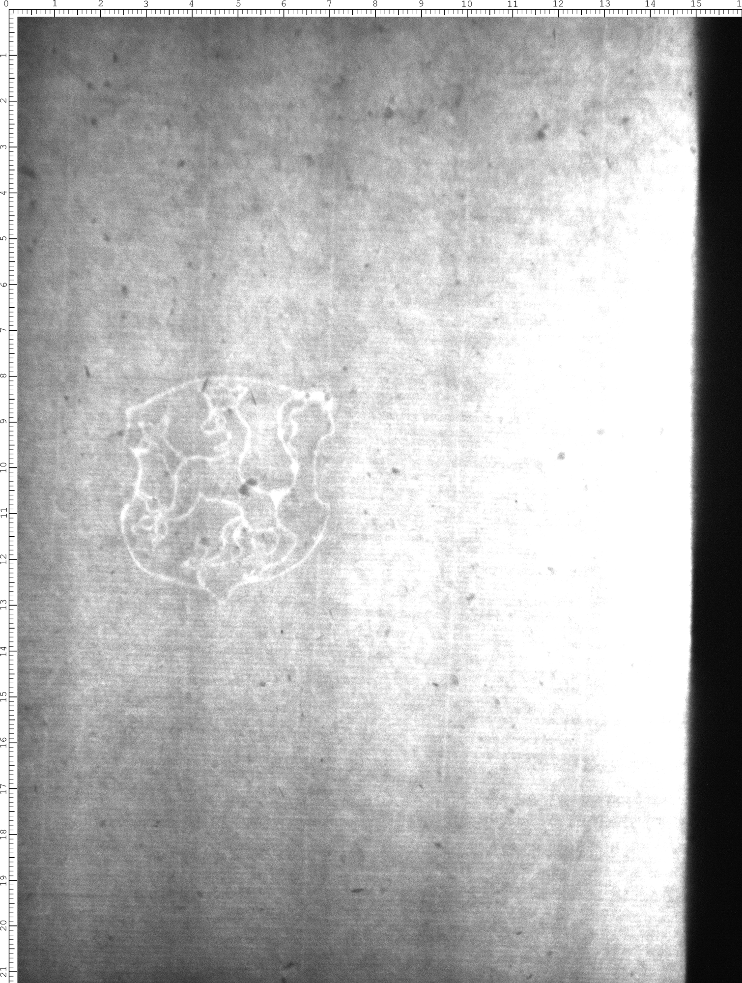 Watermark