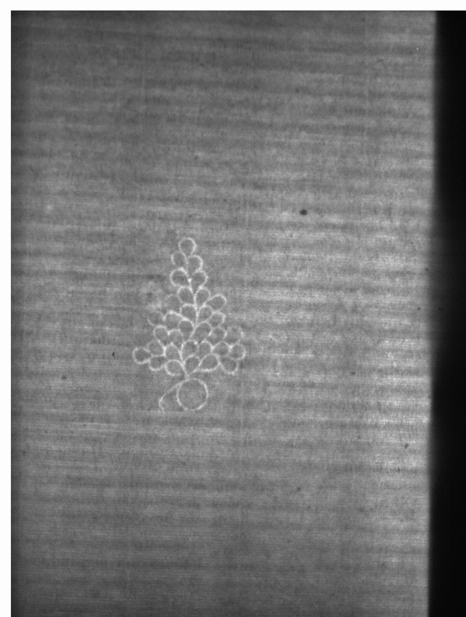 Watermark