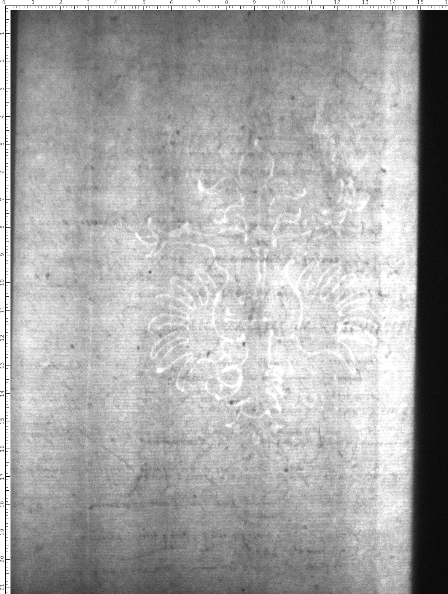 Watermark