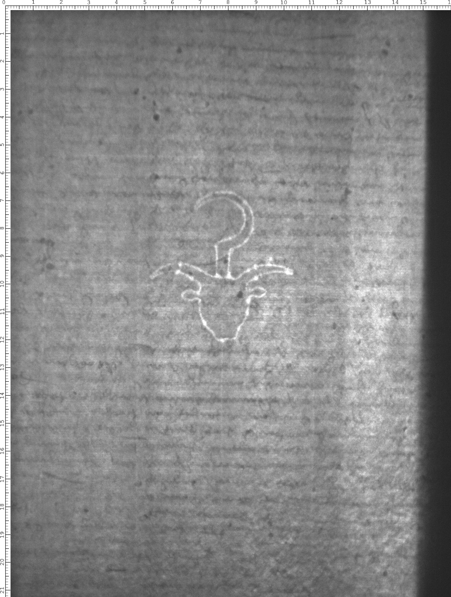 Watermark
