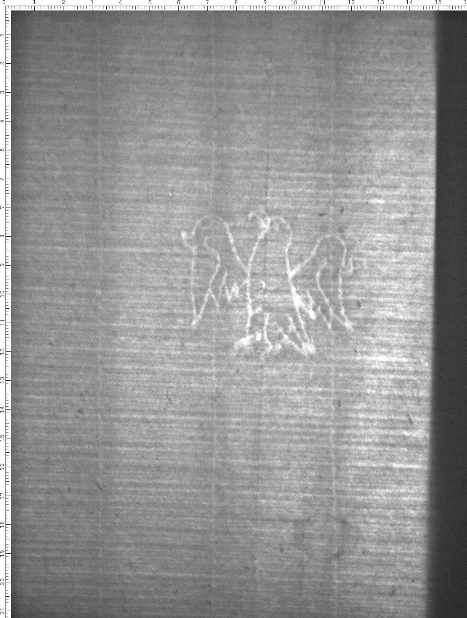 Watermark