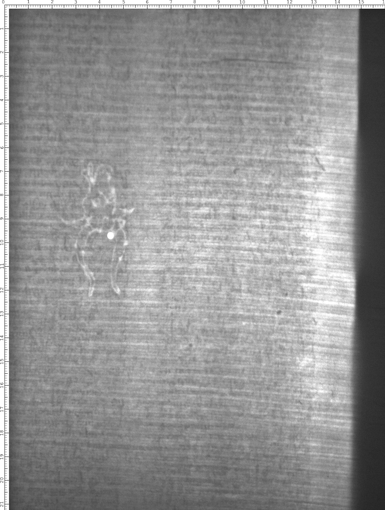 Watermark