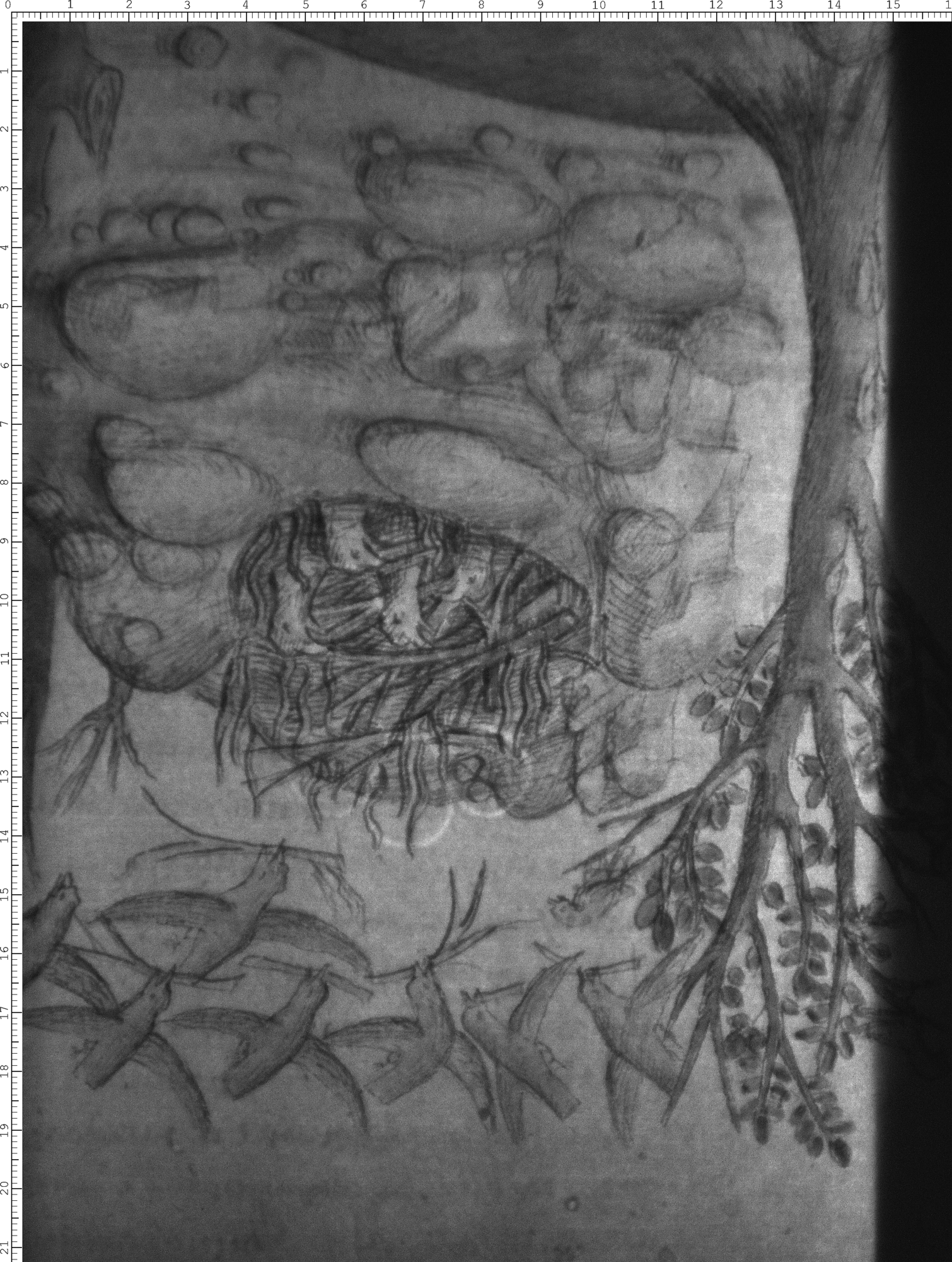 Watermark