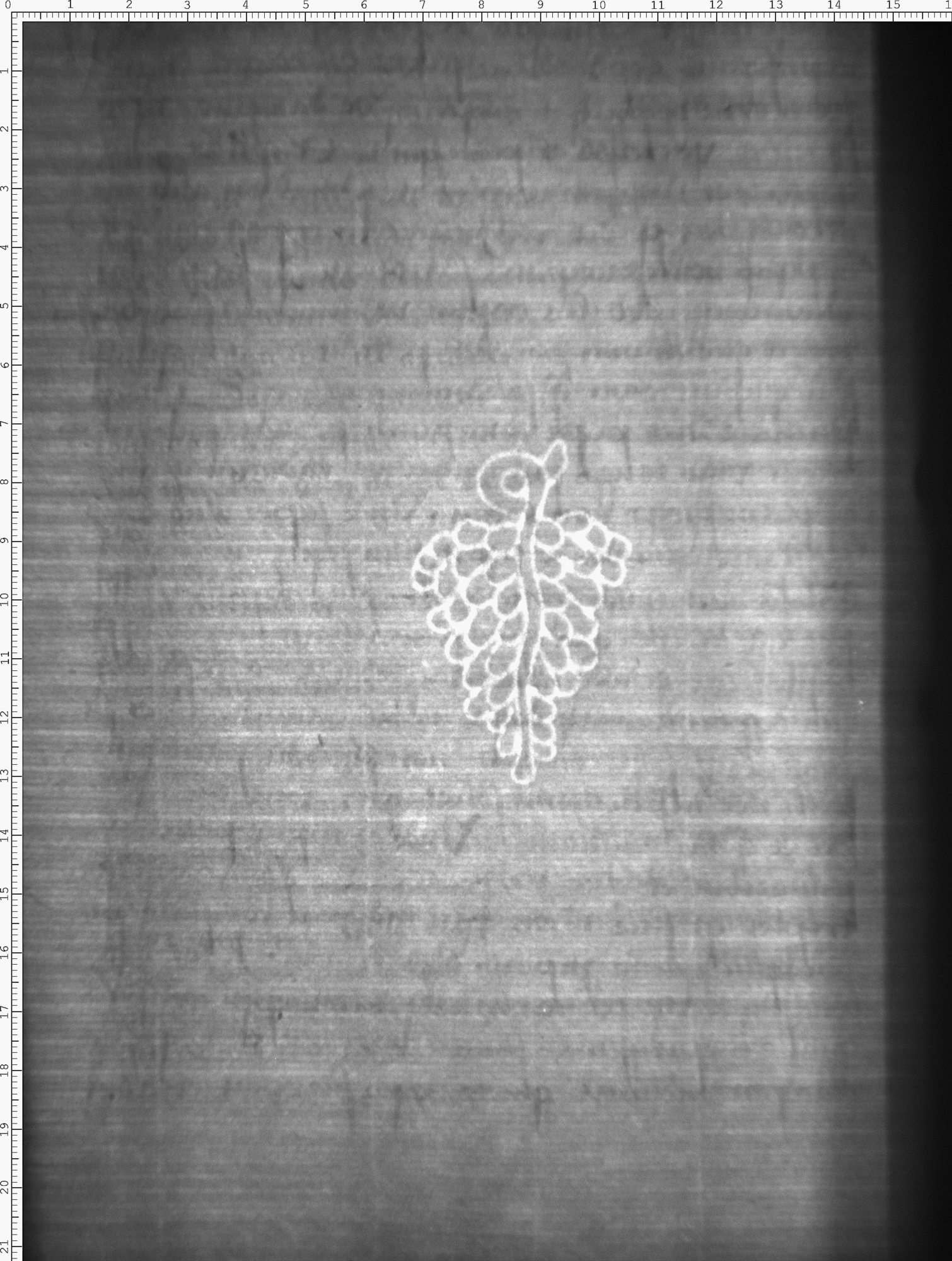Watermark