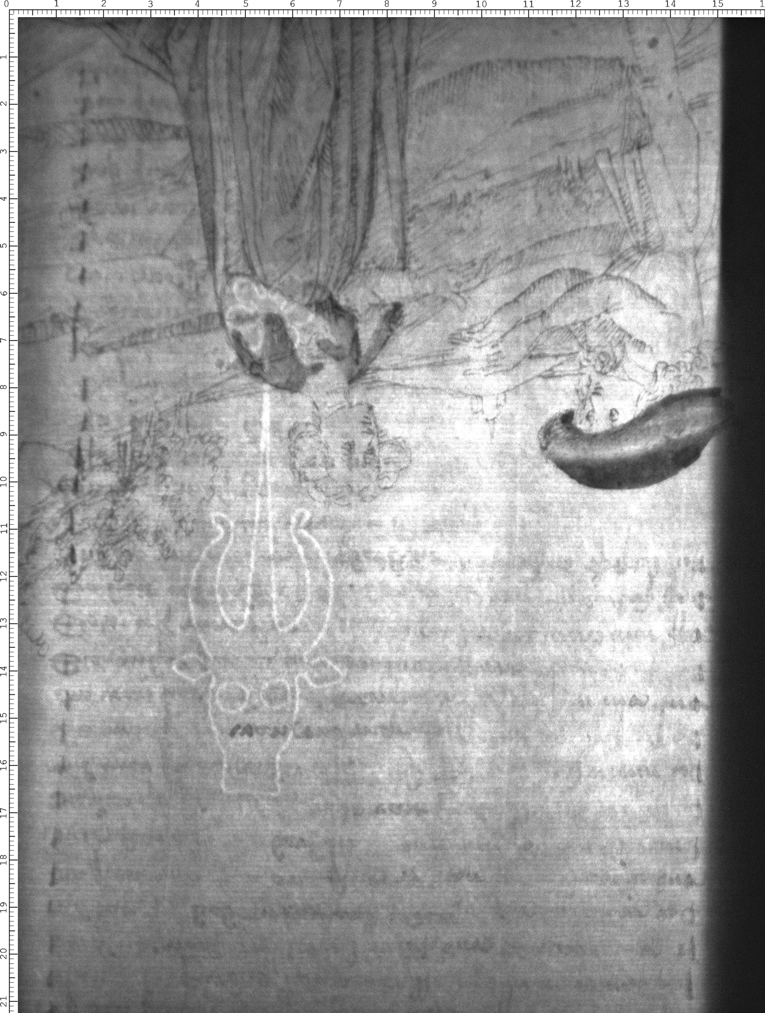 Watermark