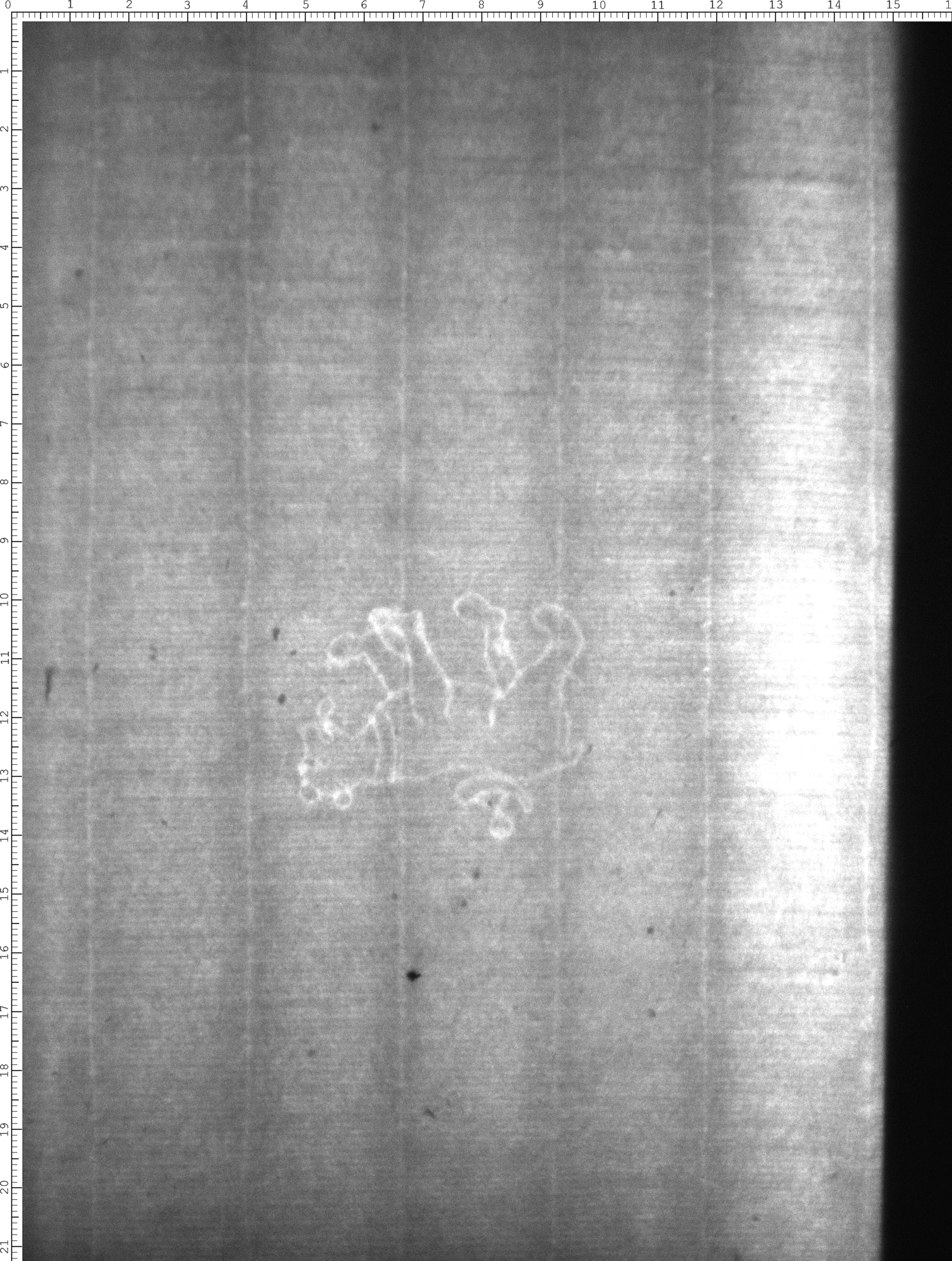 Watermark