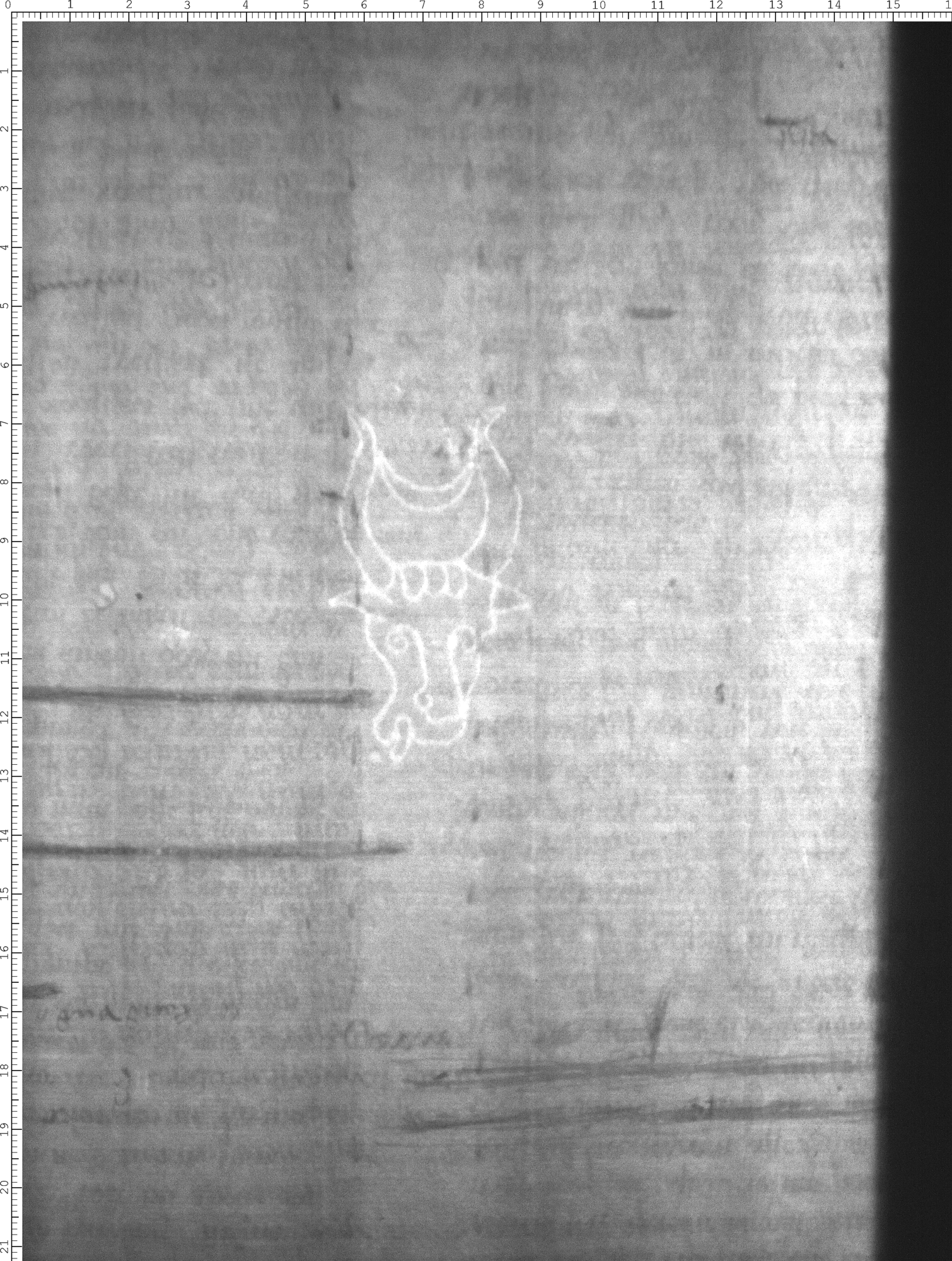 Watermark