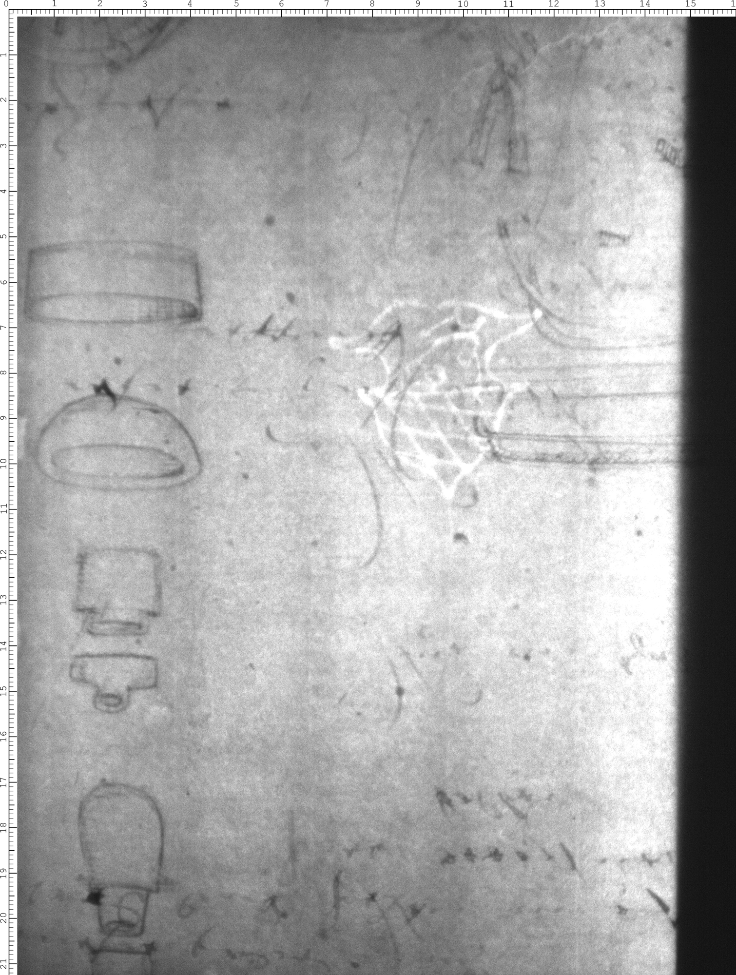 Watermark