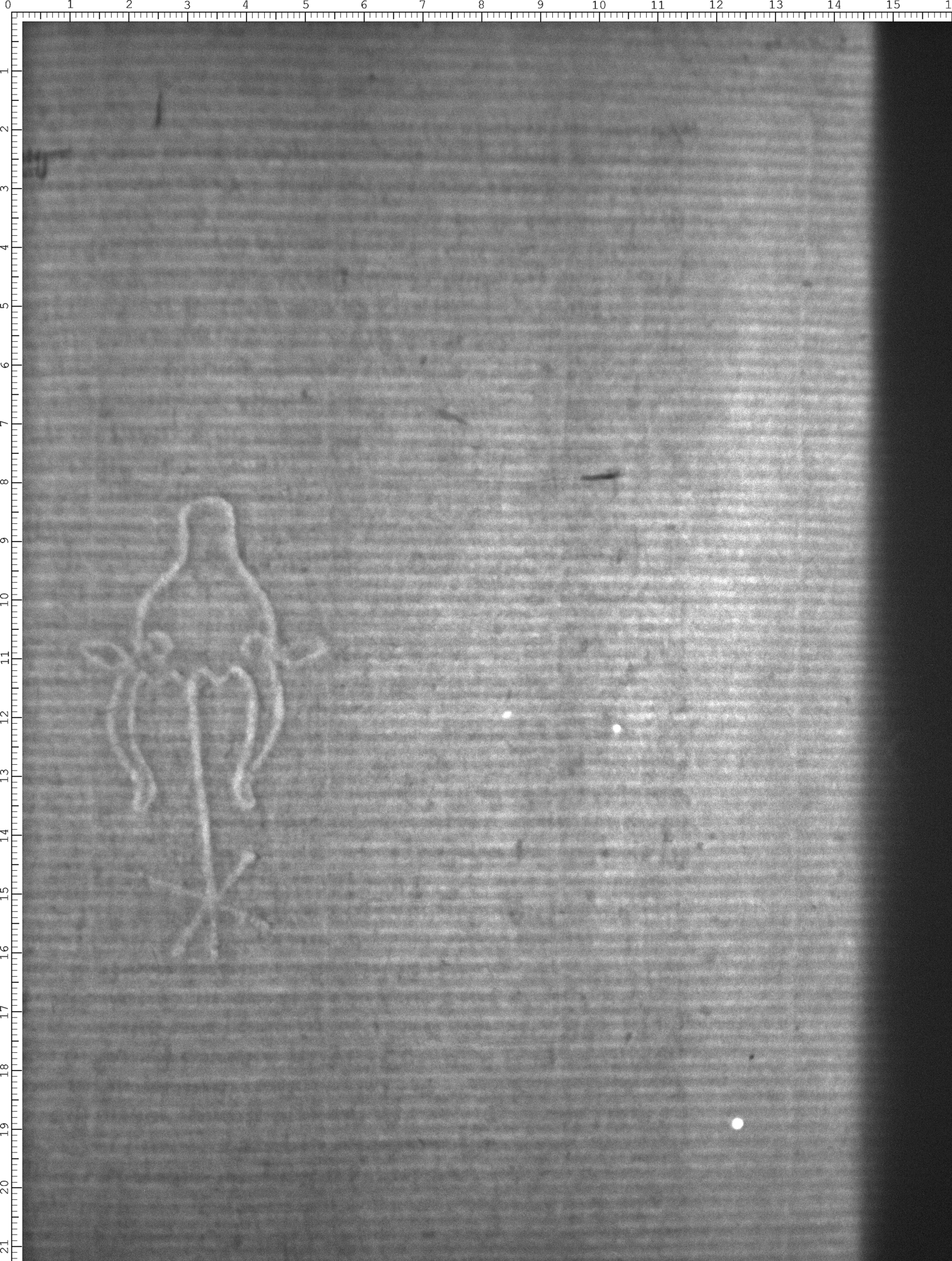 Watermark