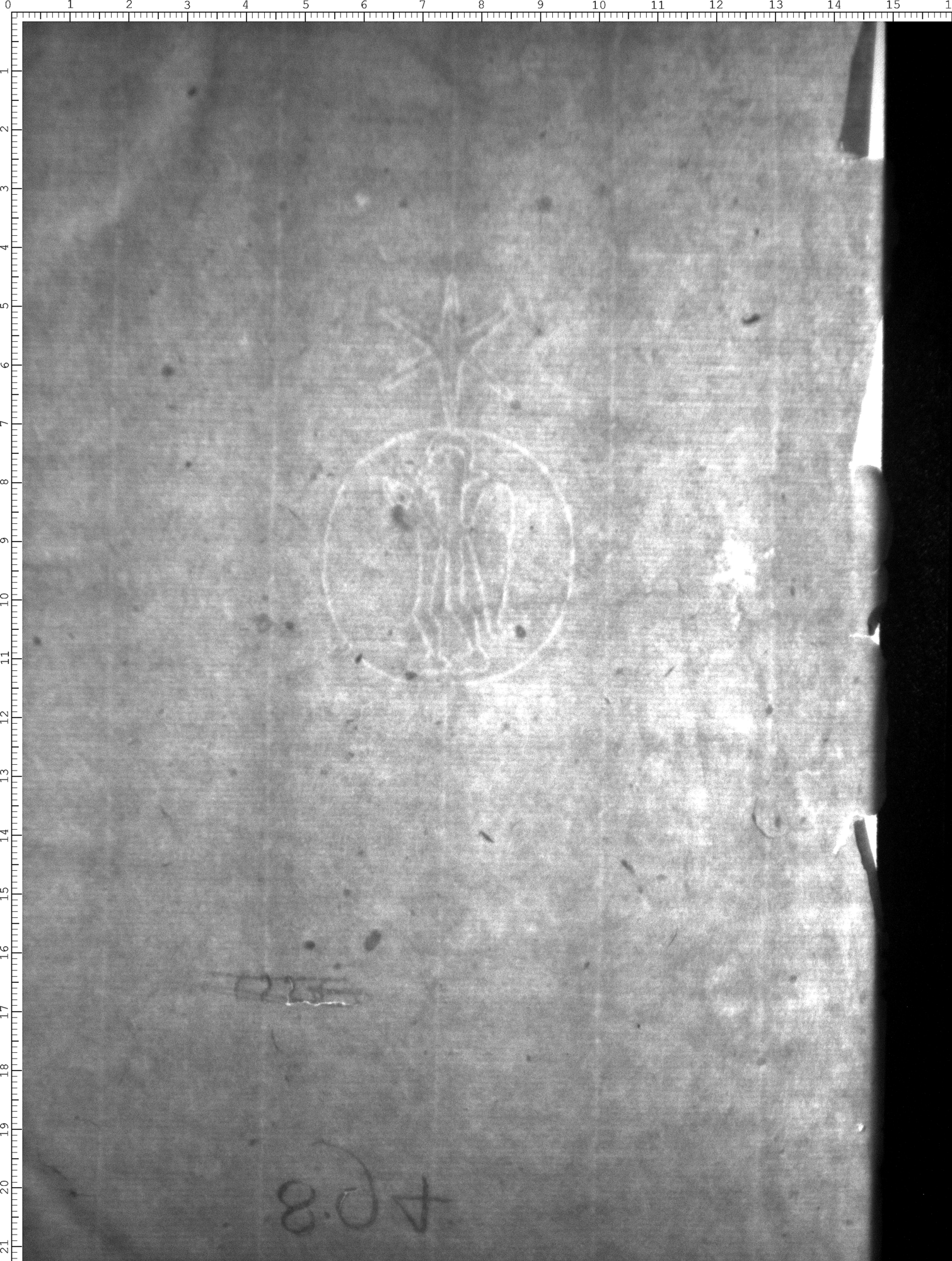 Watermark